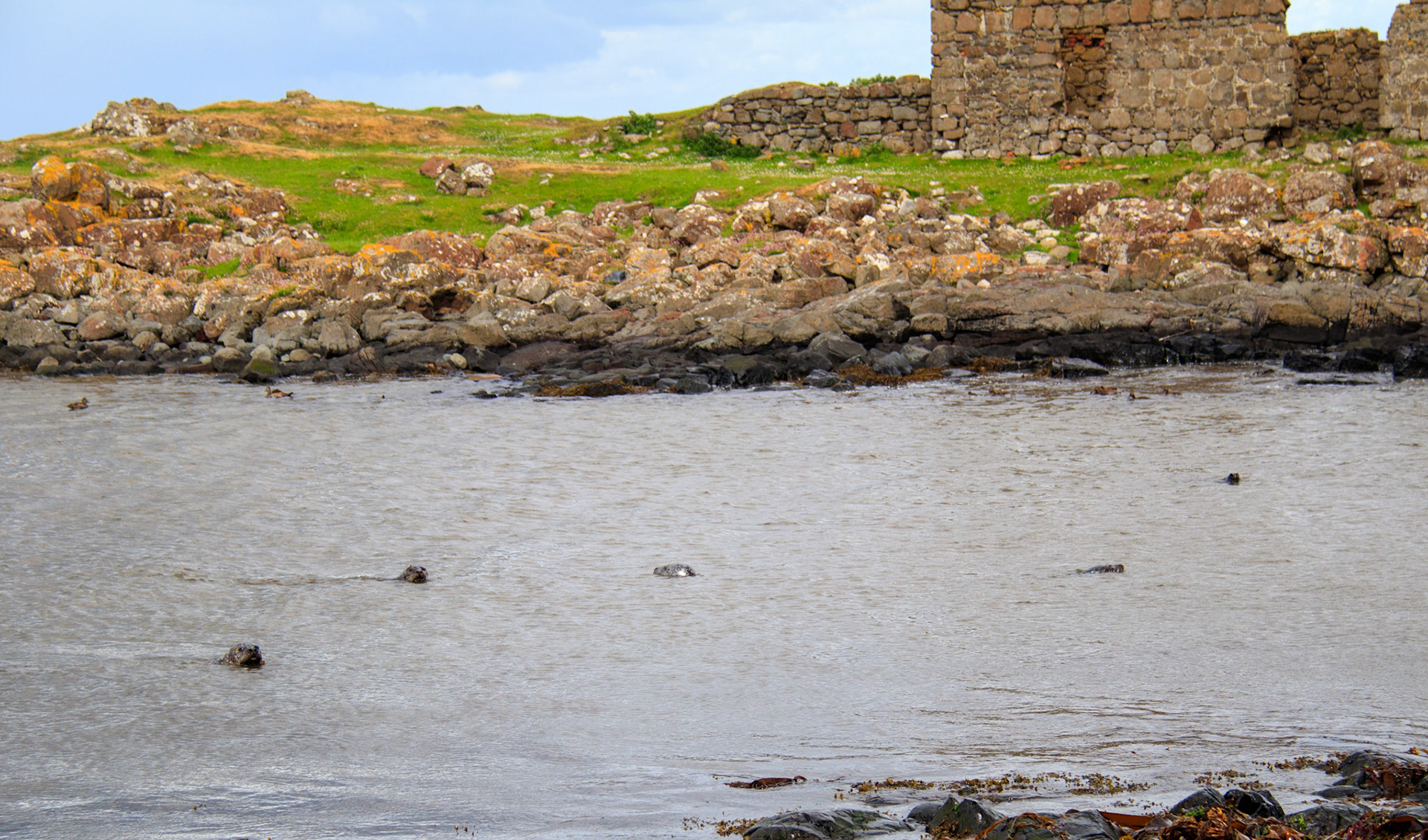 seal bay