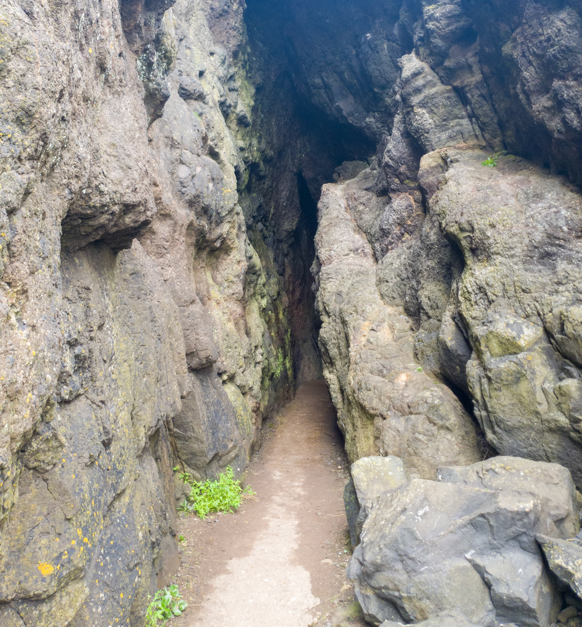 More Blackhead Path