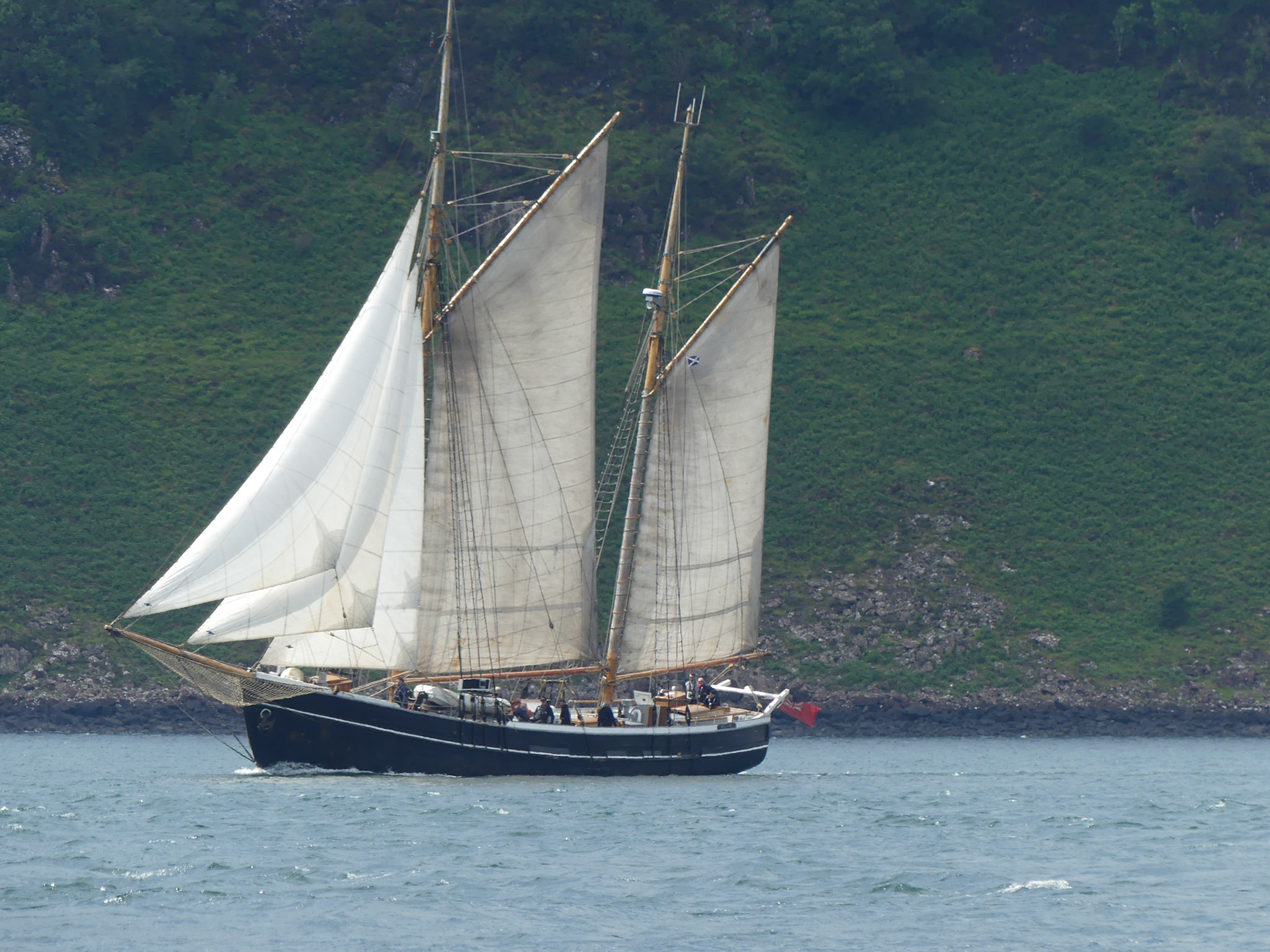Party boat - too many sails for me