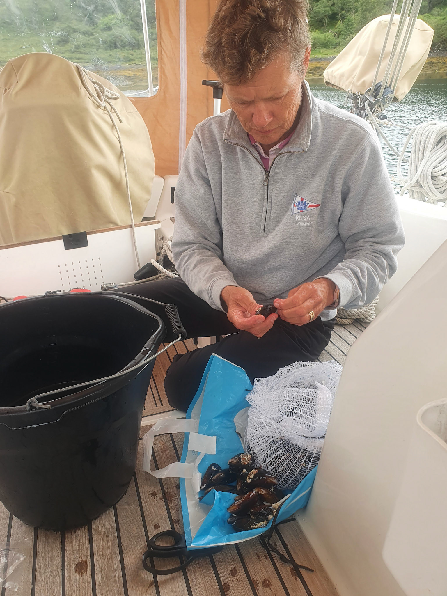 debearding and cleaning mussels