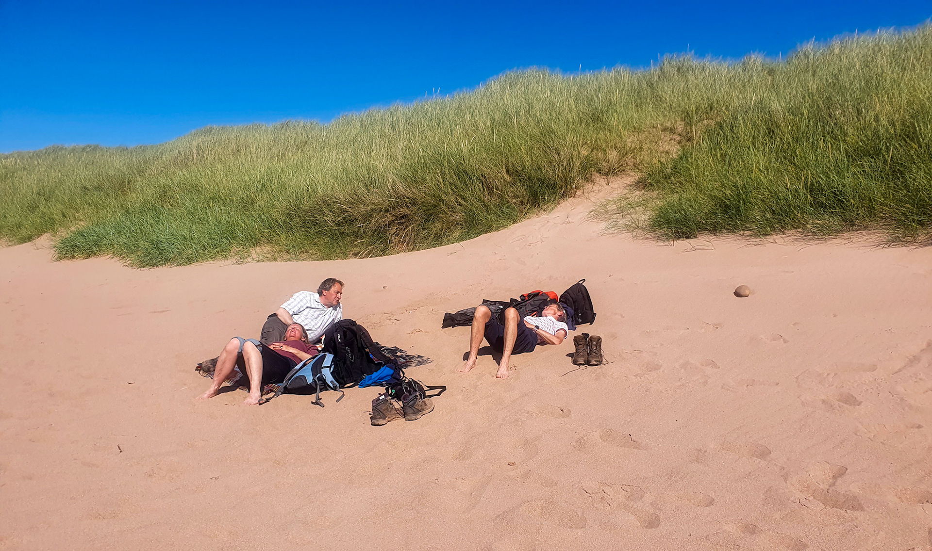 so we had a picnic