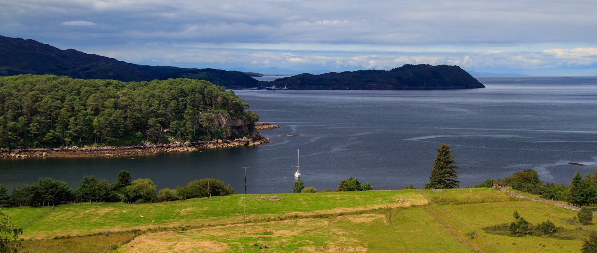 Whimbrel sitting calmly at anchor in sheildaig 