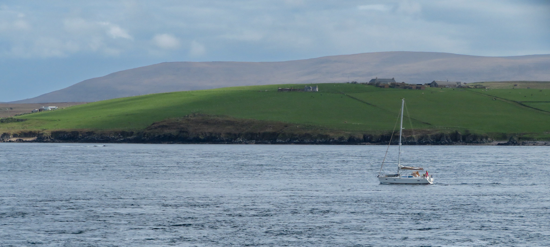 phew got the hoy sound tide right!
