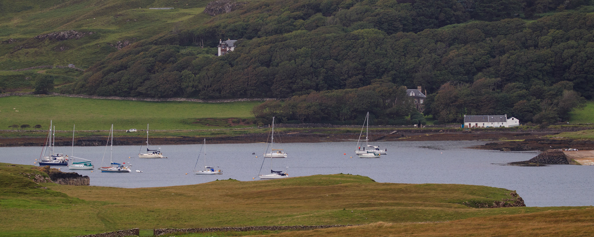 Cafe Canna and the Harbour