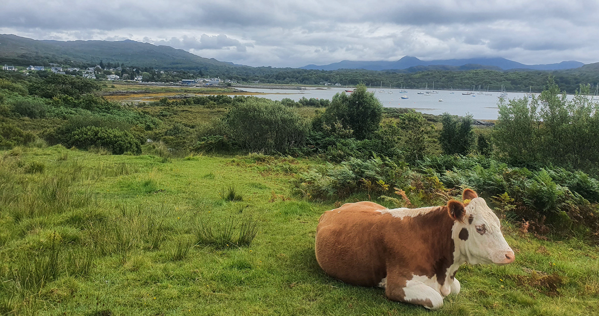 Arisaig