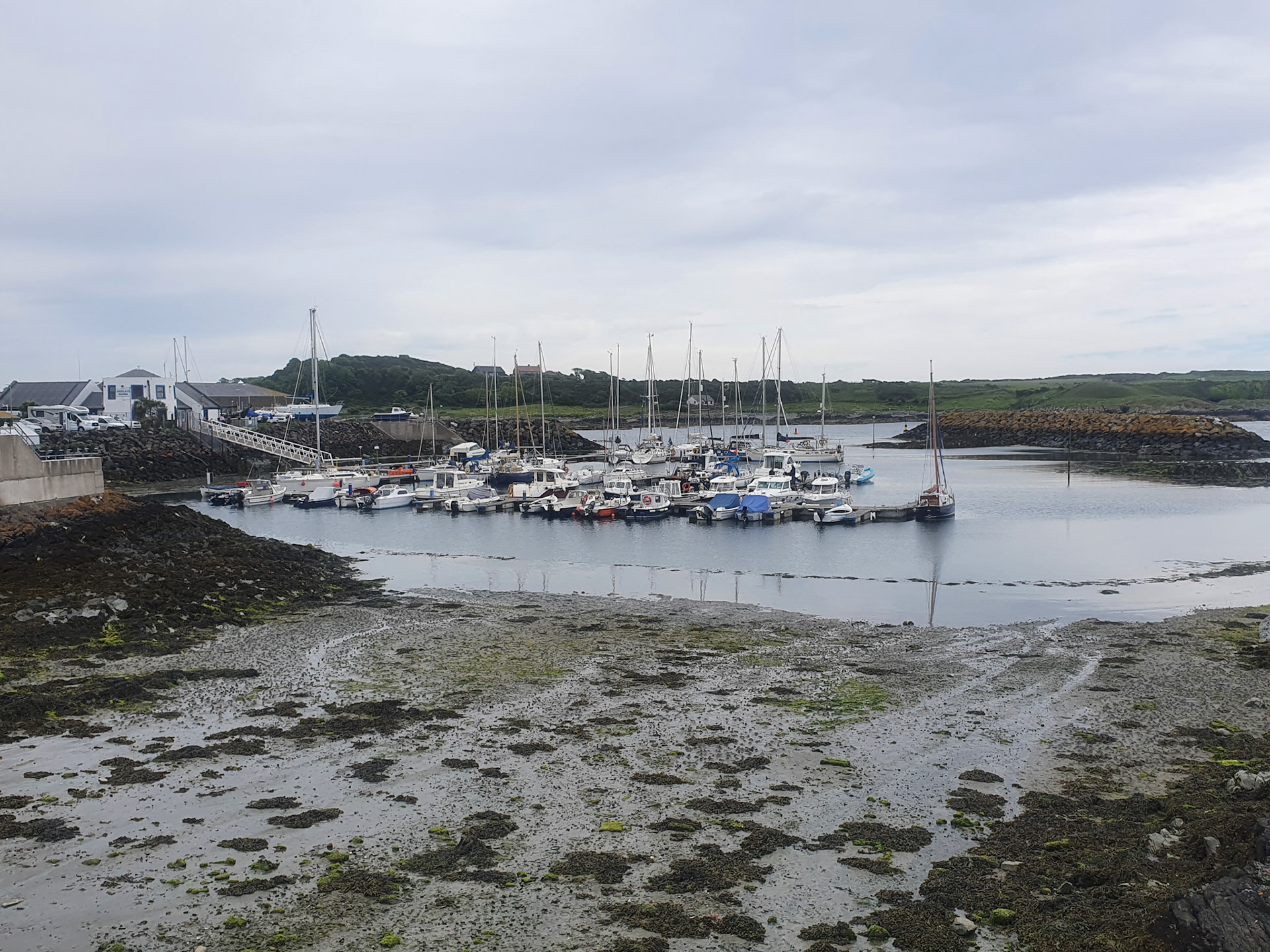 low tide