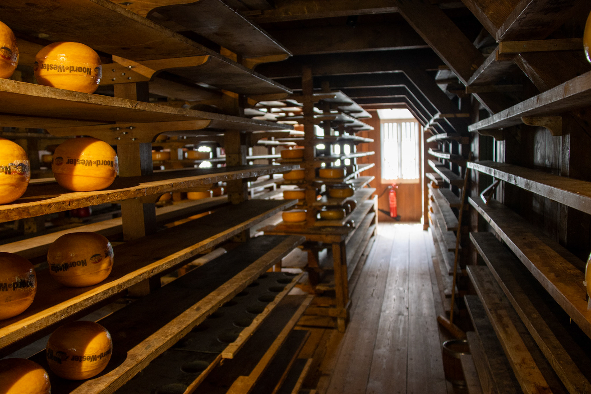 Old cheeses