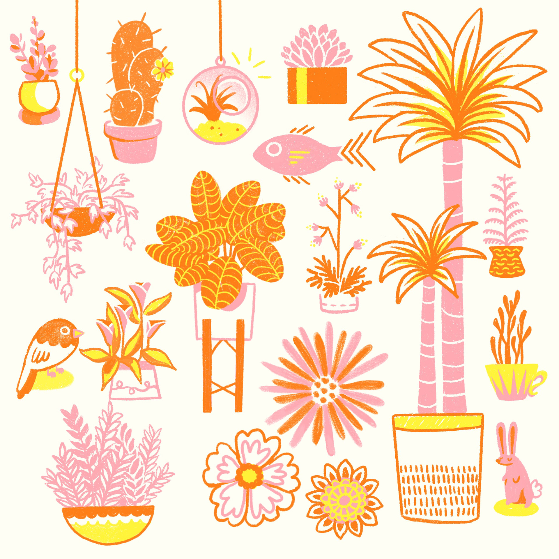 Plant Studies. Made in Procreate