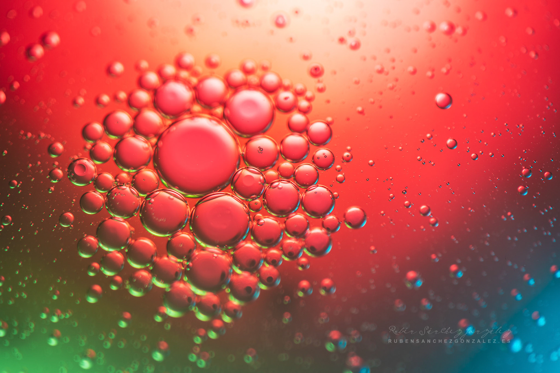 Agua y Aceite - Macro