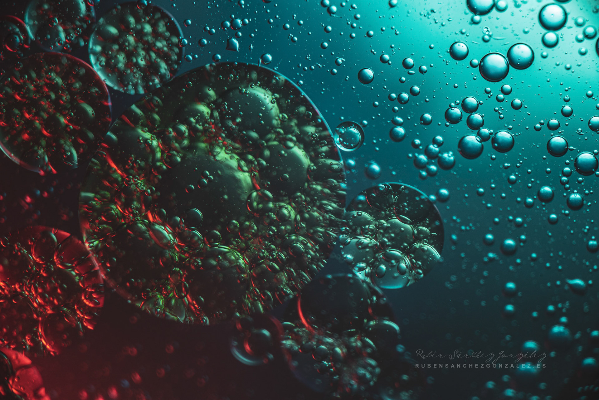 Agua y Aceite - Macro