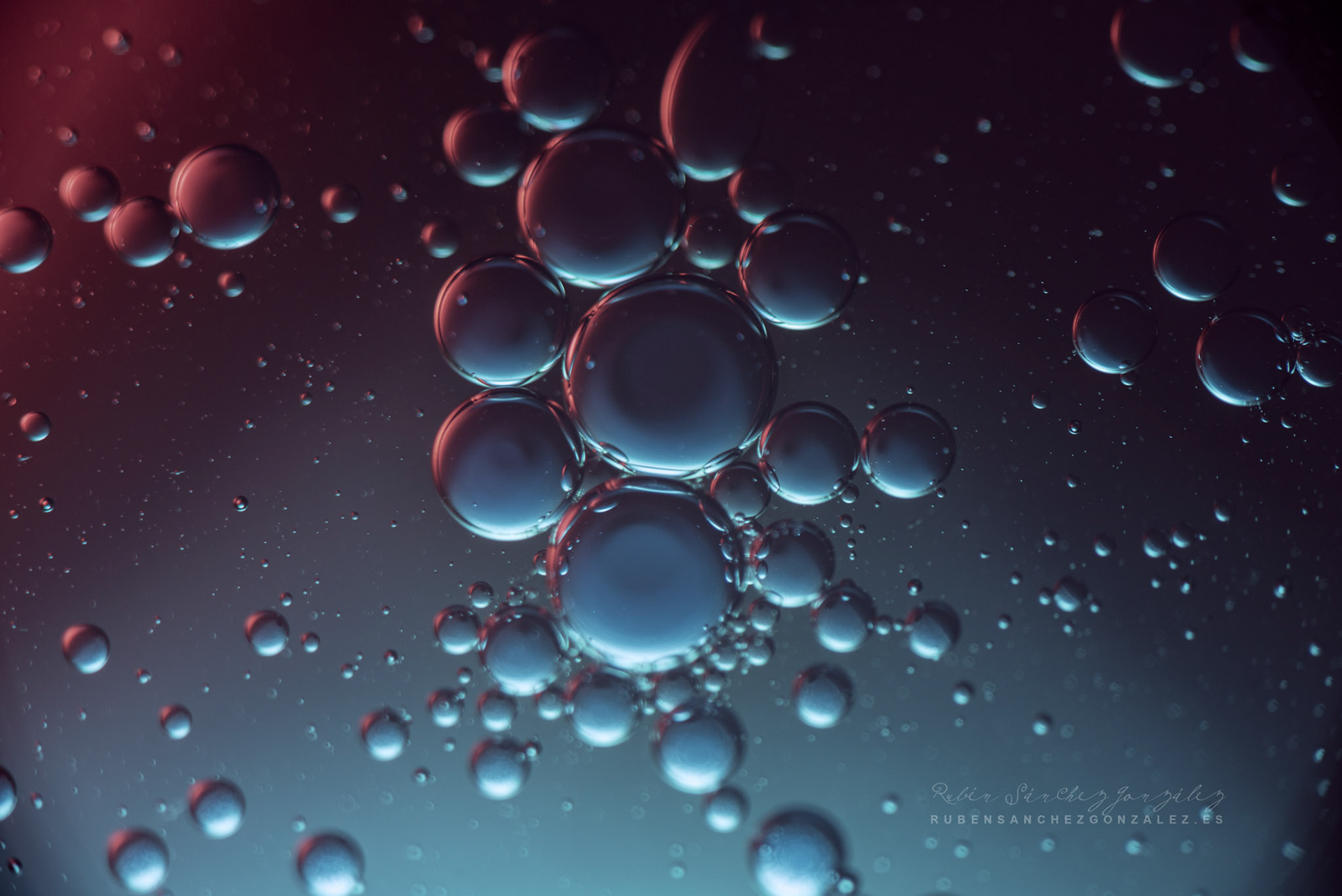 Agua y Aceite - Macro