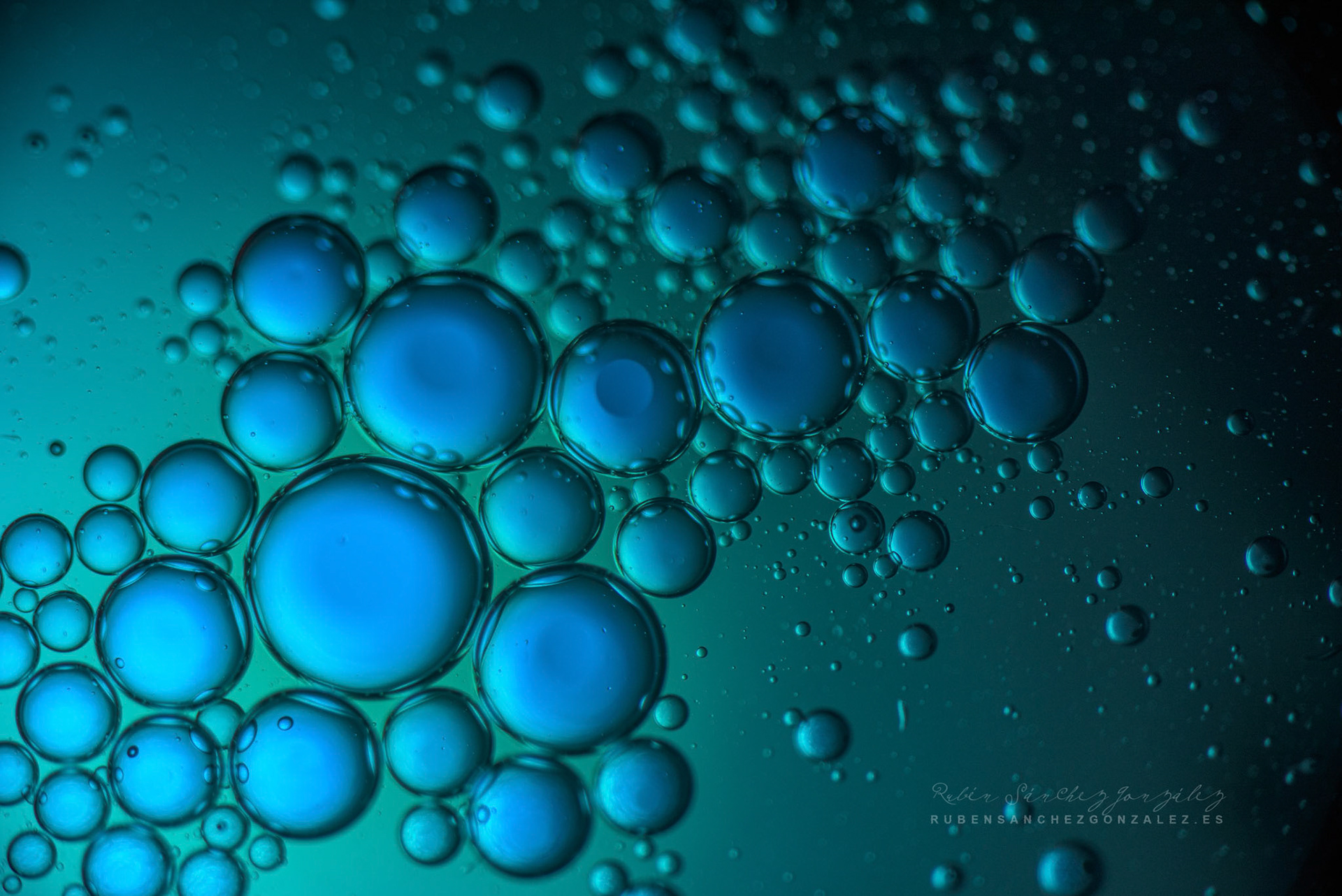 Agua y Aceite - Macro