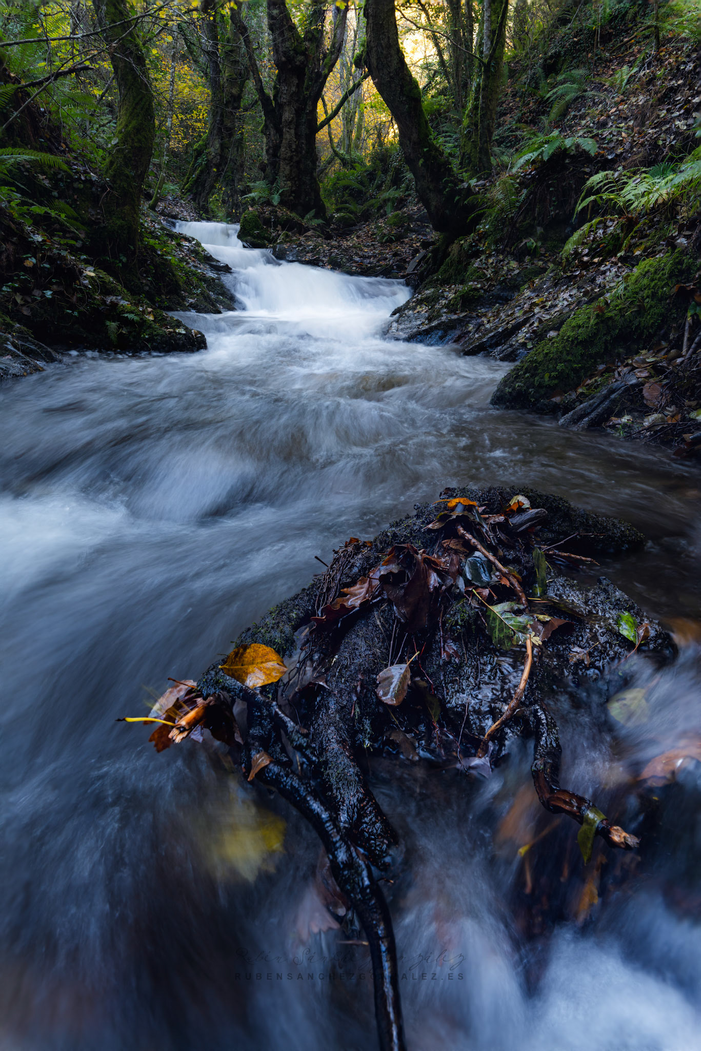 Río Oza en Otoño - Paisaje Diurno