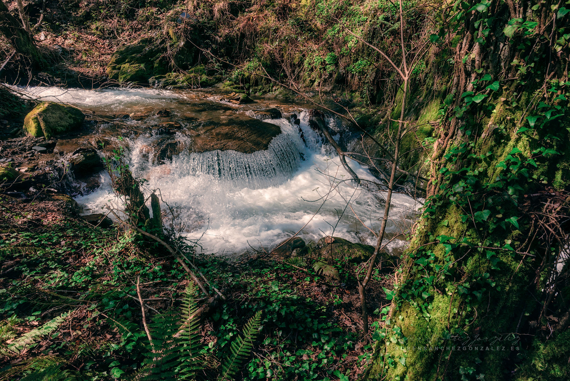 Salto de Agua Río Oza - Paisaje
