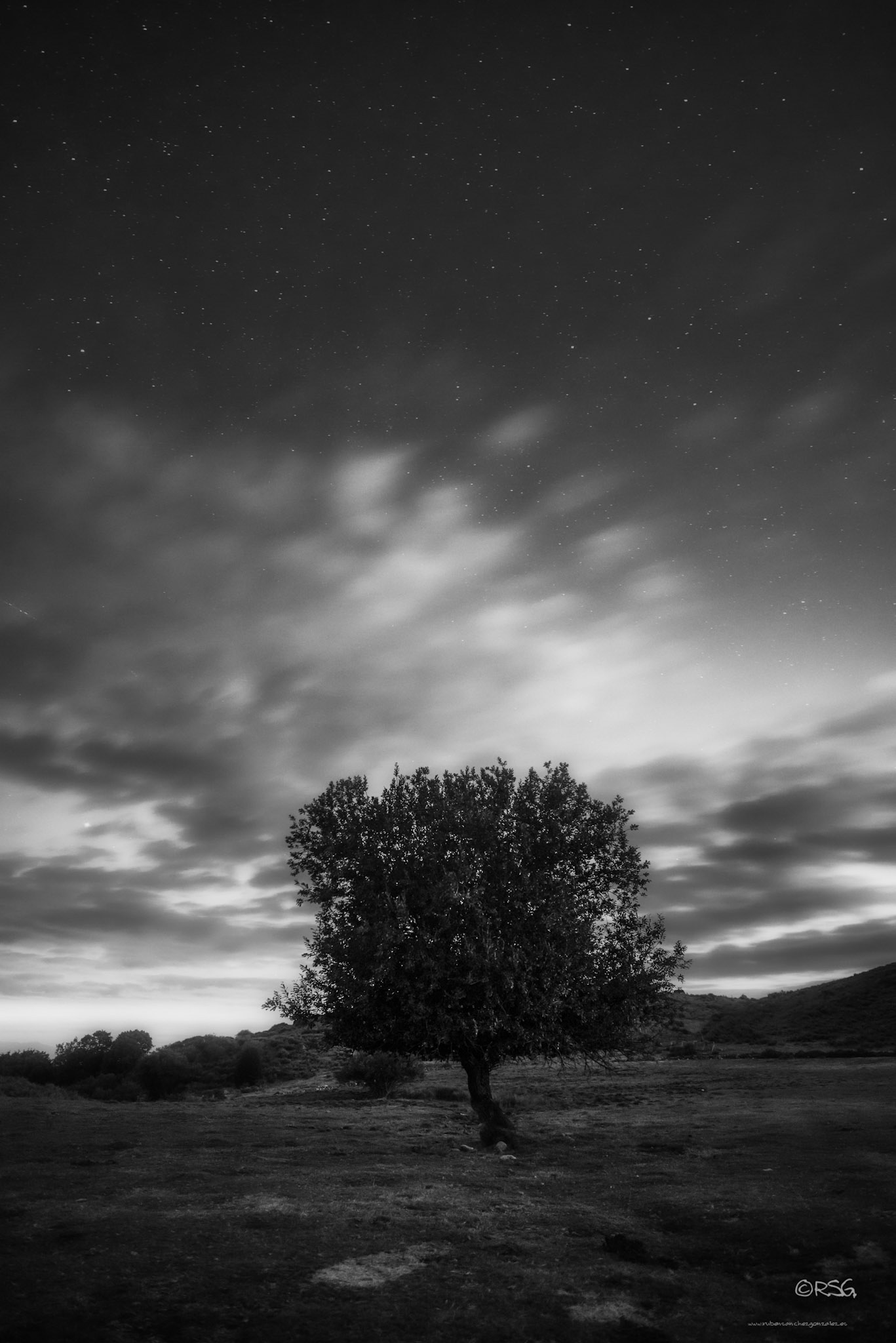 Campo del Agua Arbol B&amp;W