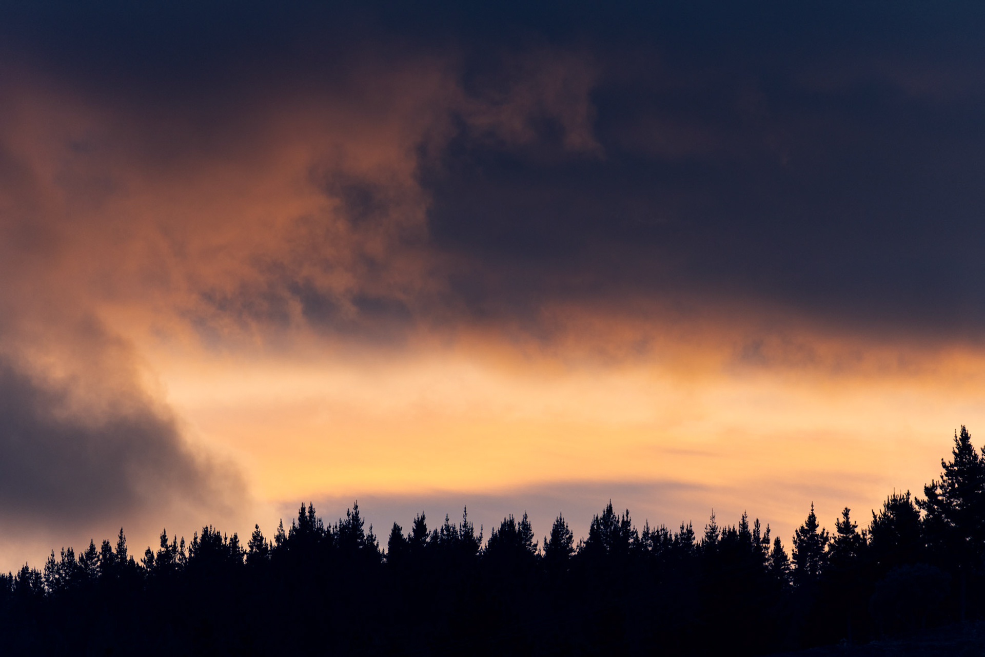 Cielos