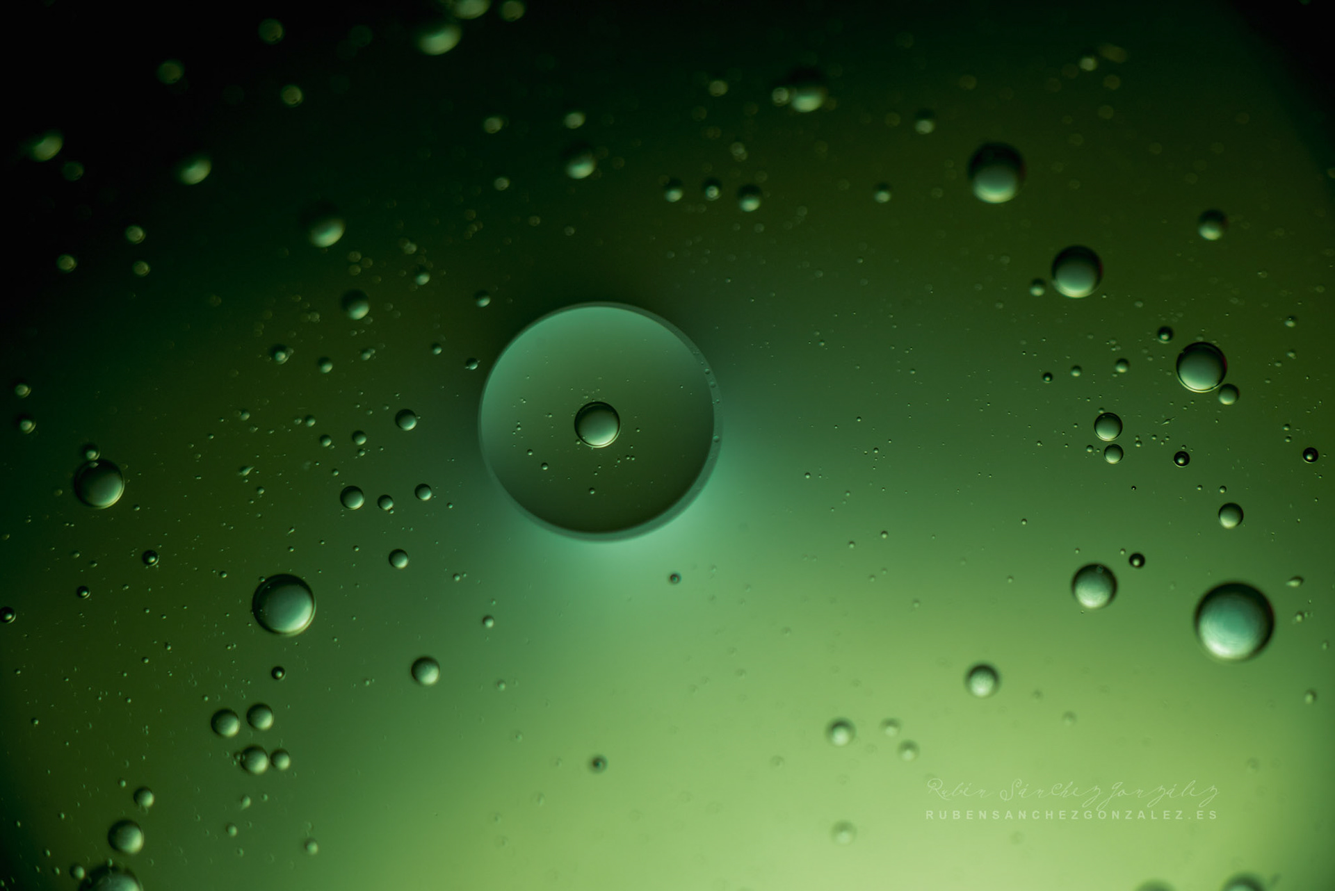 Agua y Aceite - Macro