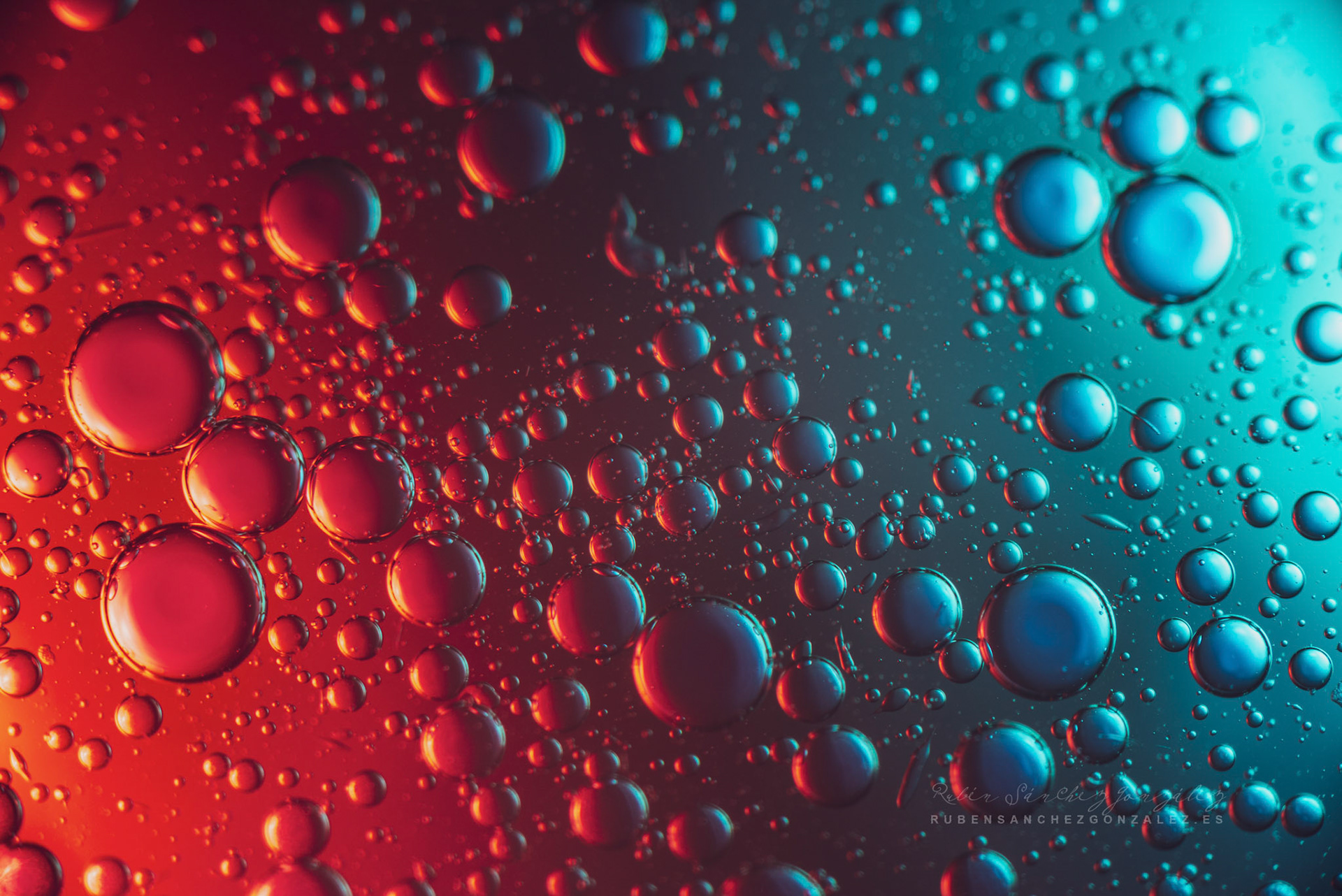 Agua y Aceite - Macro