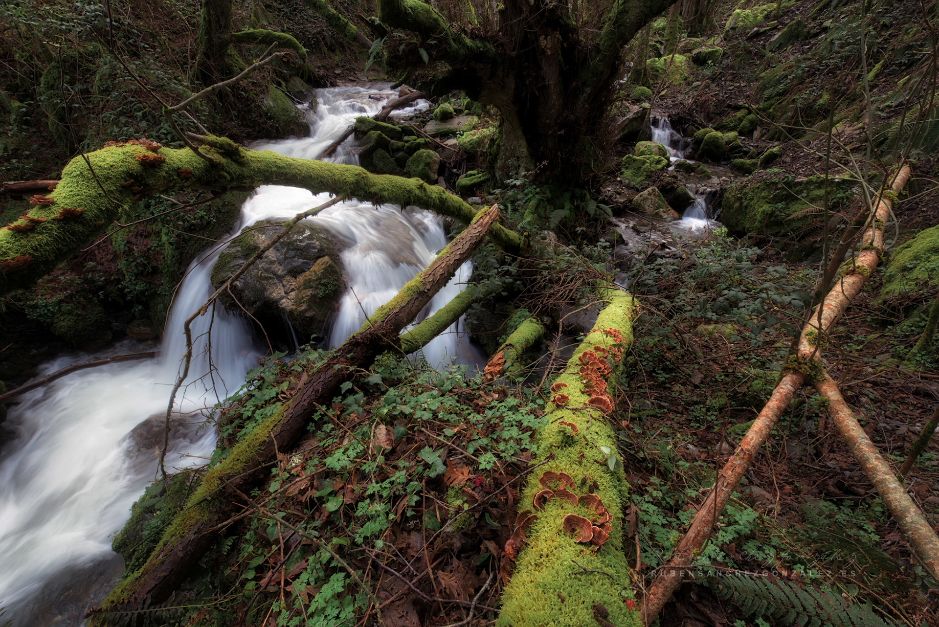 Salto de Agua Río Oza - Paisaje
