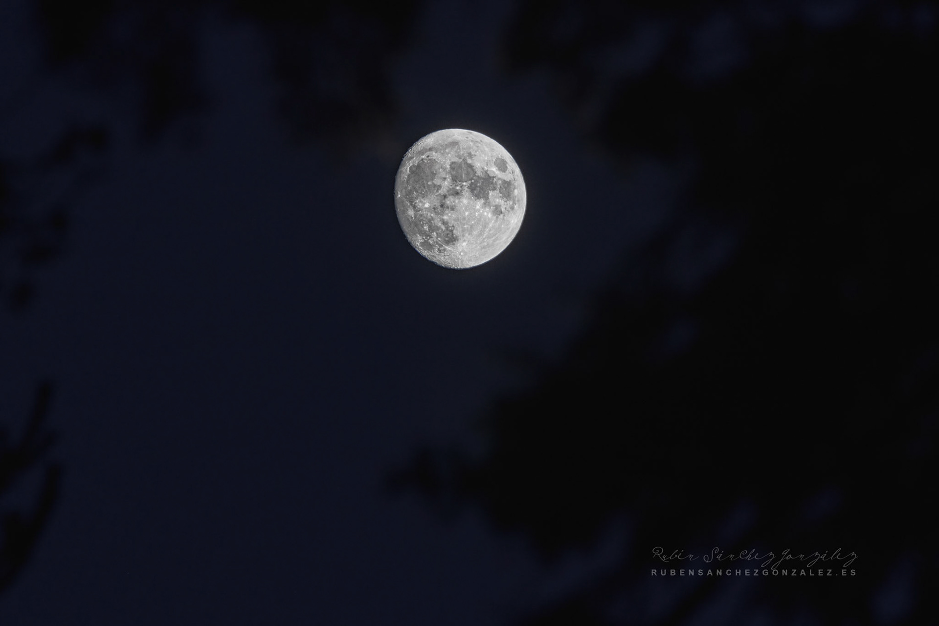 Luna creciente - Tele