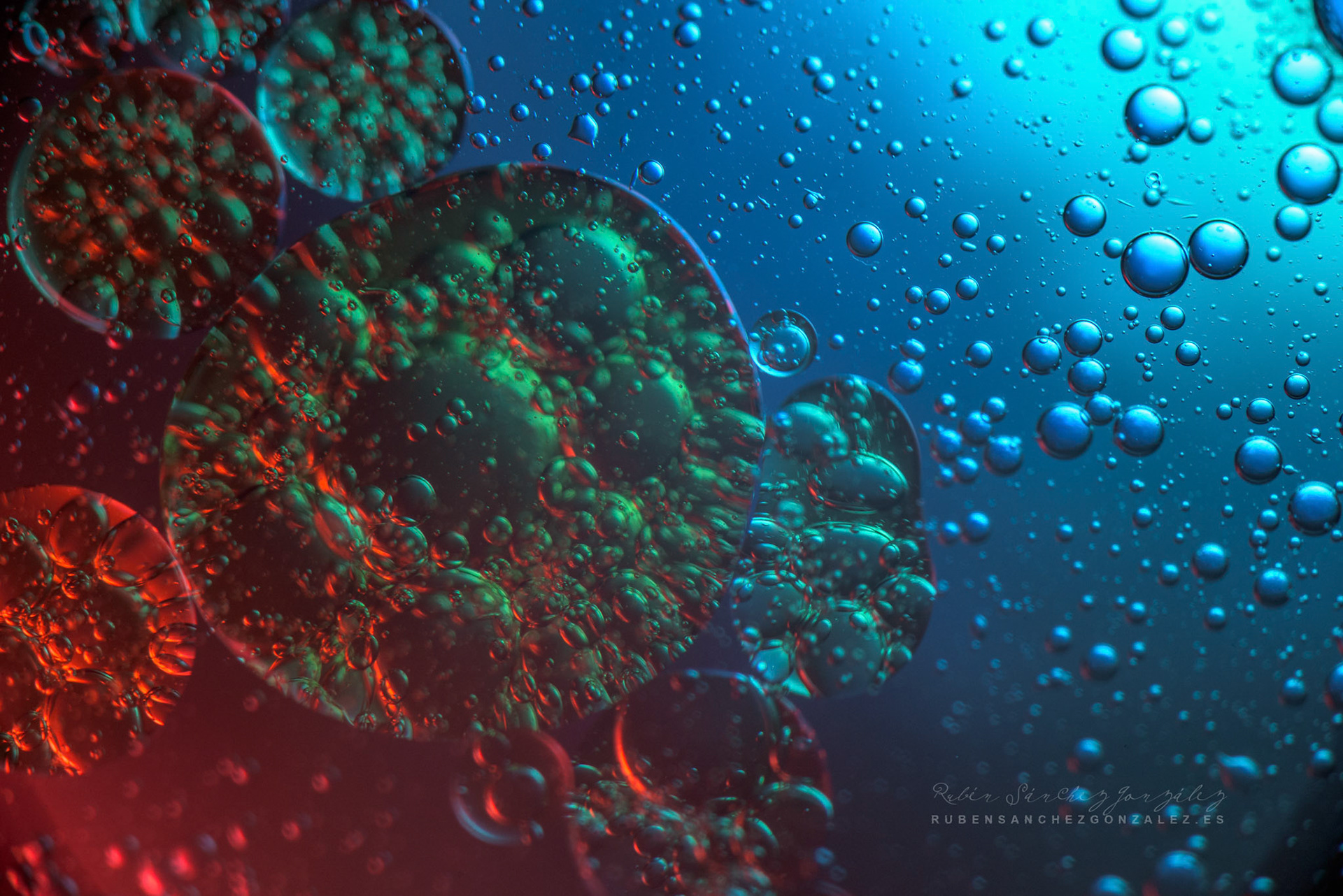 Agua y Aceite - Macro