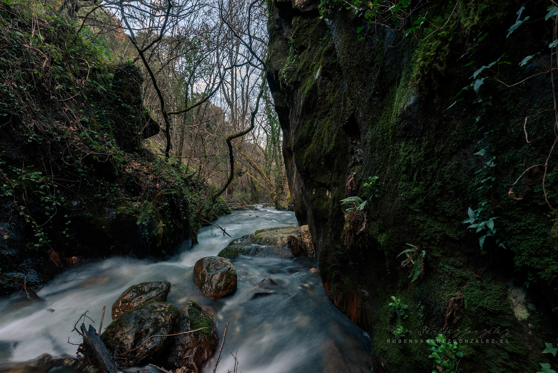 Salto de Agua Río Oza - Paisaje