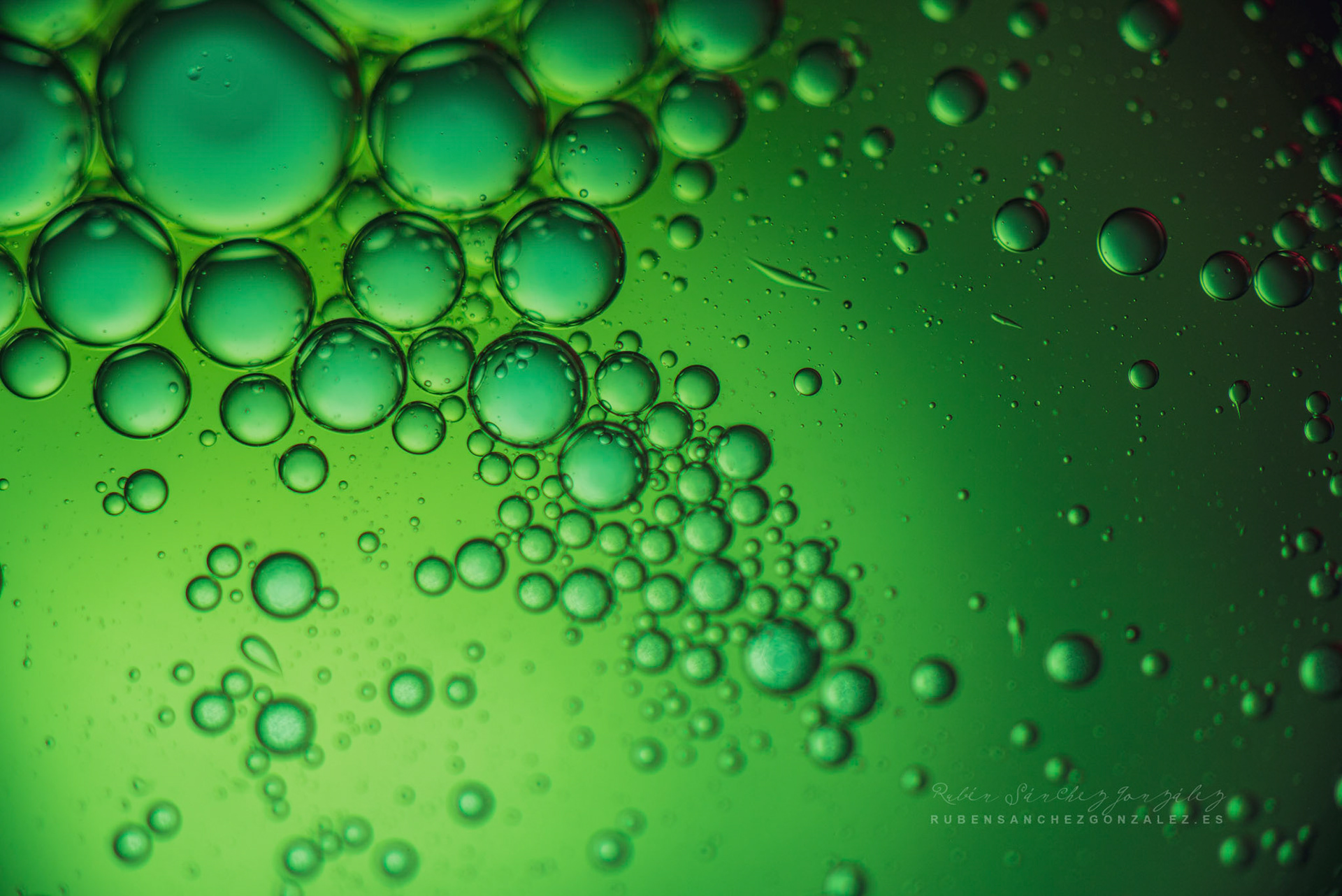 Agua y Aceite - Macro