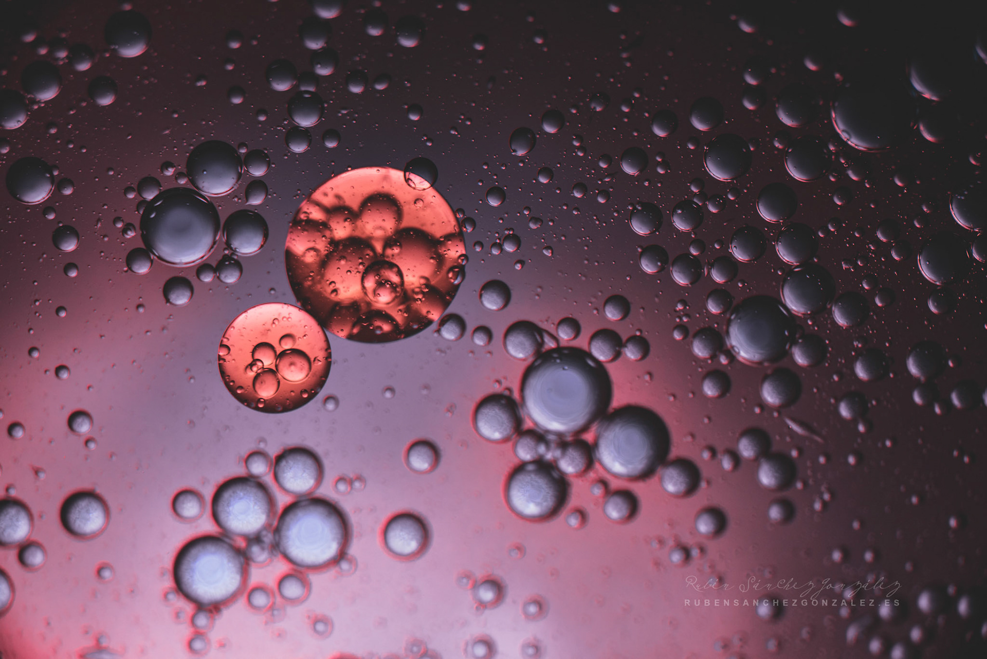 Agua y Aceite - Macro