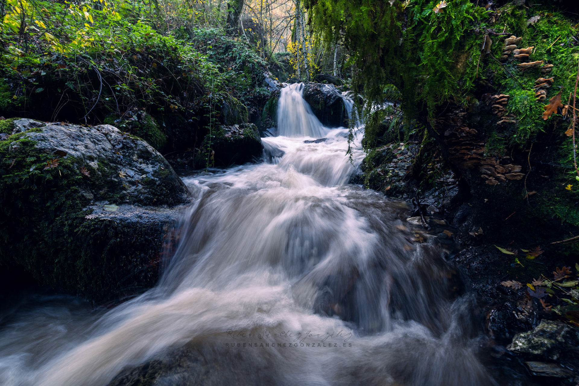 Río Oza en Otoño - Paisaje Diurno