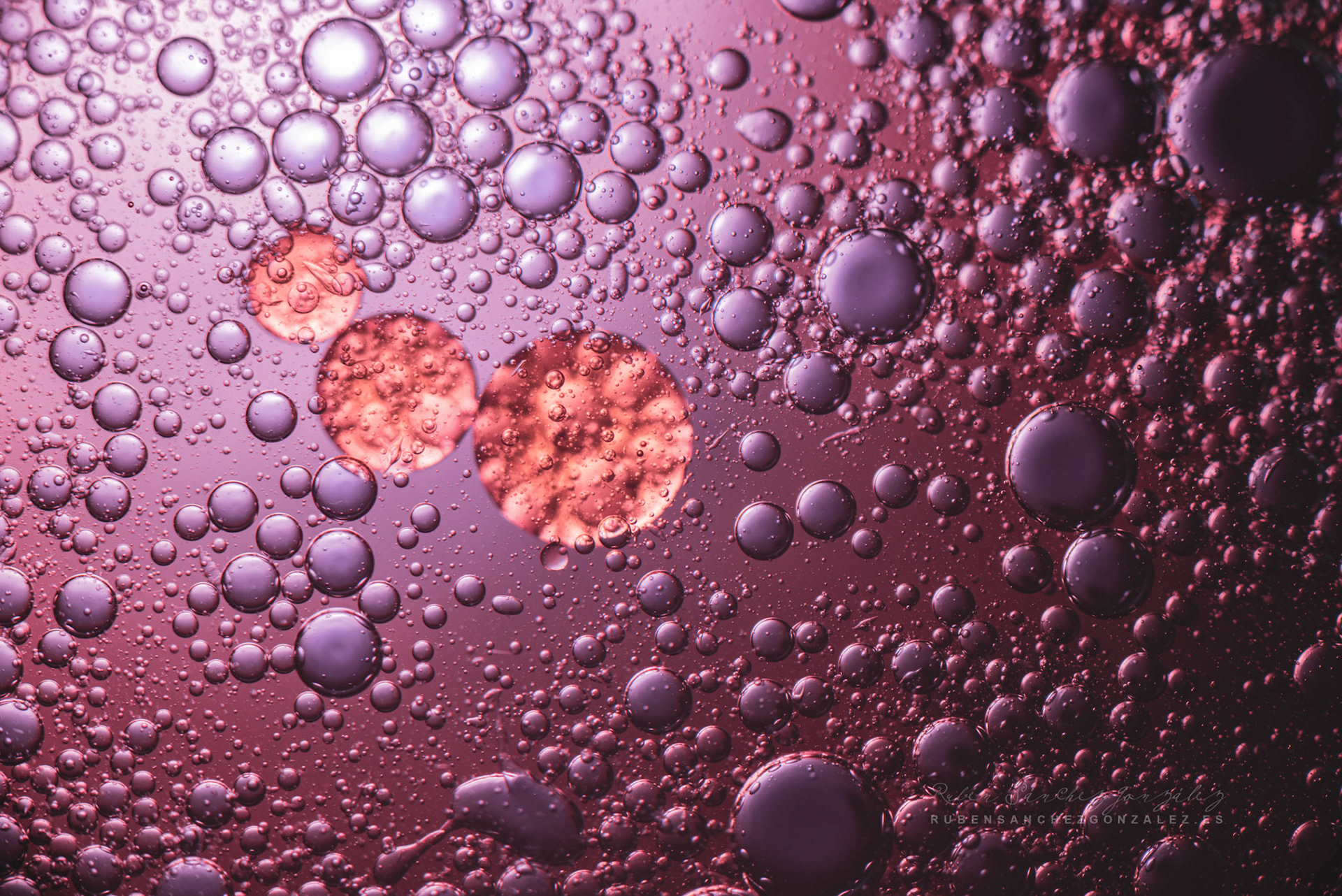 Agua y Aceite - Macro