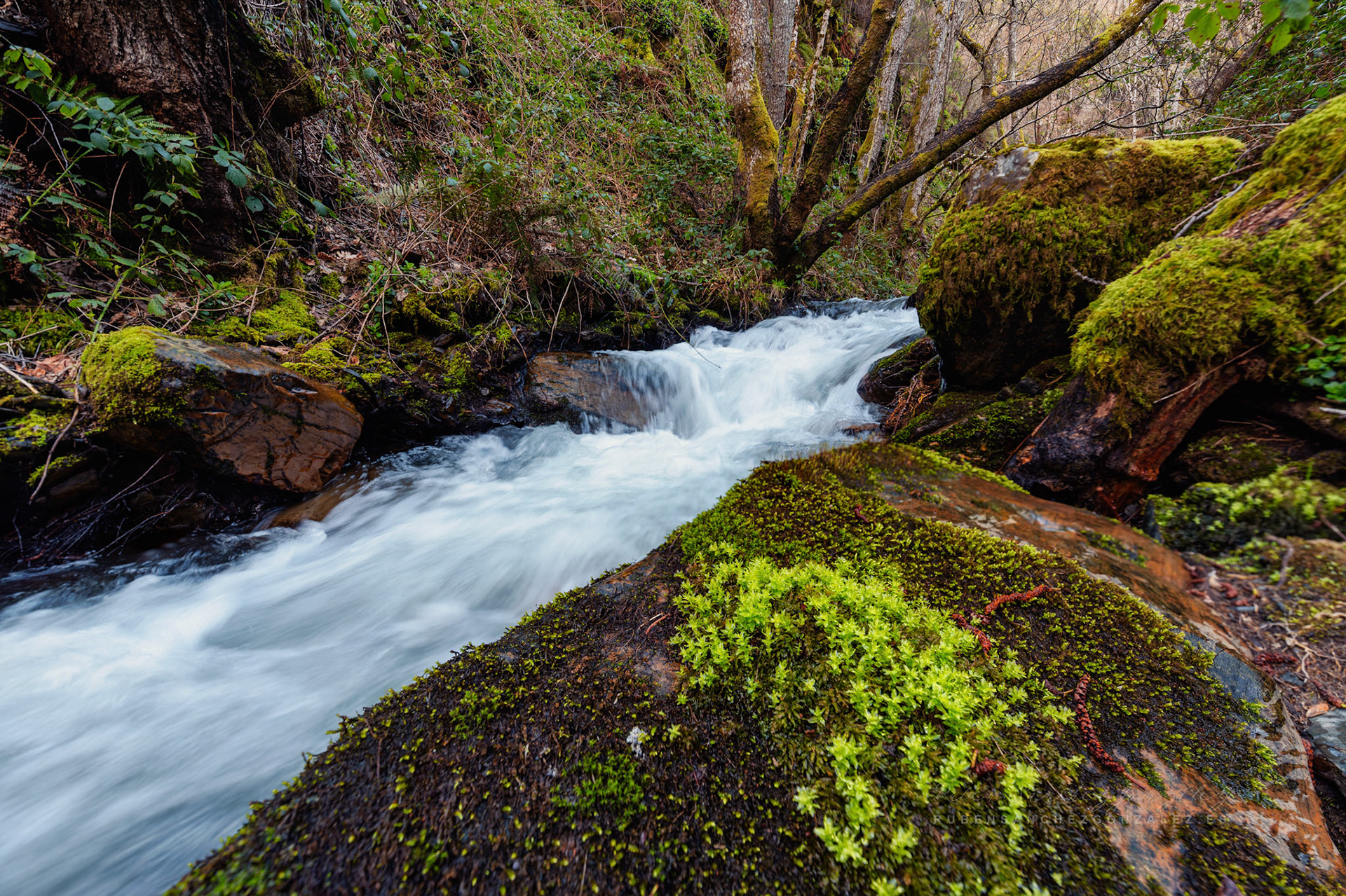 Salto de Agua Río Oza - Paisaje