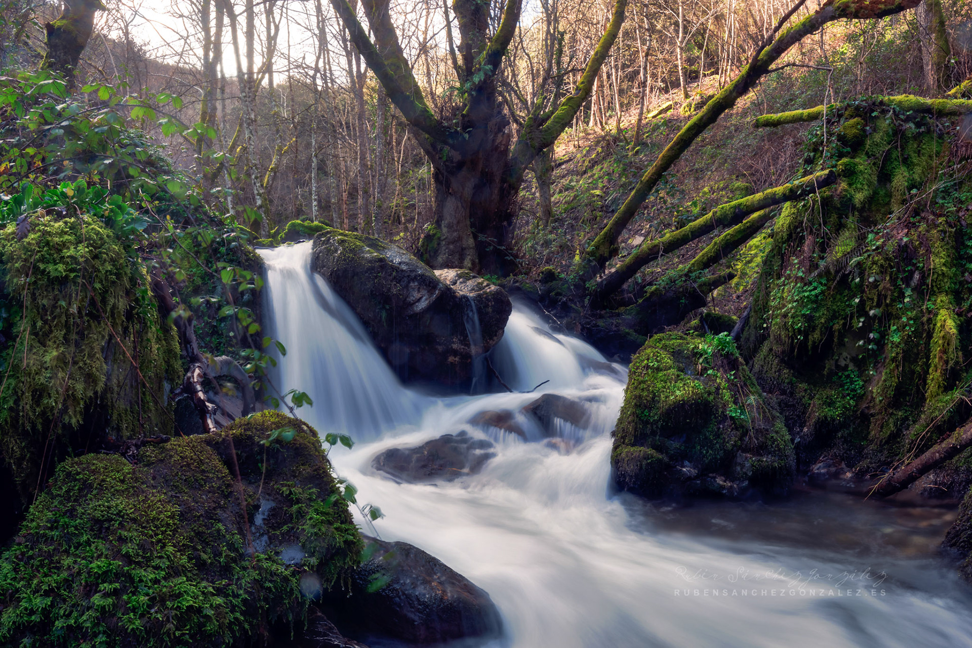 Salto de Agua Río Oza - Paisaje