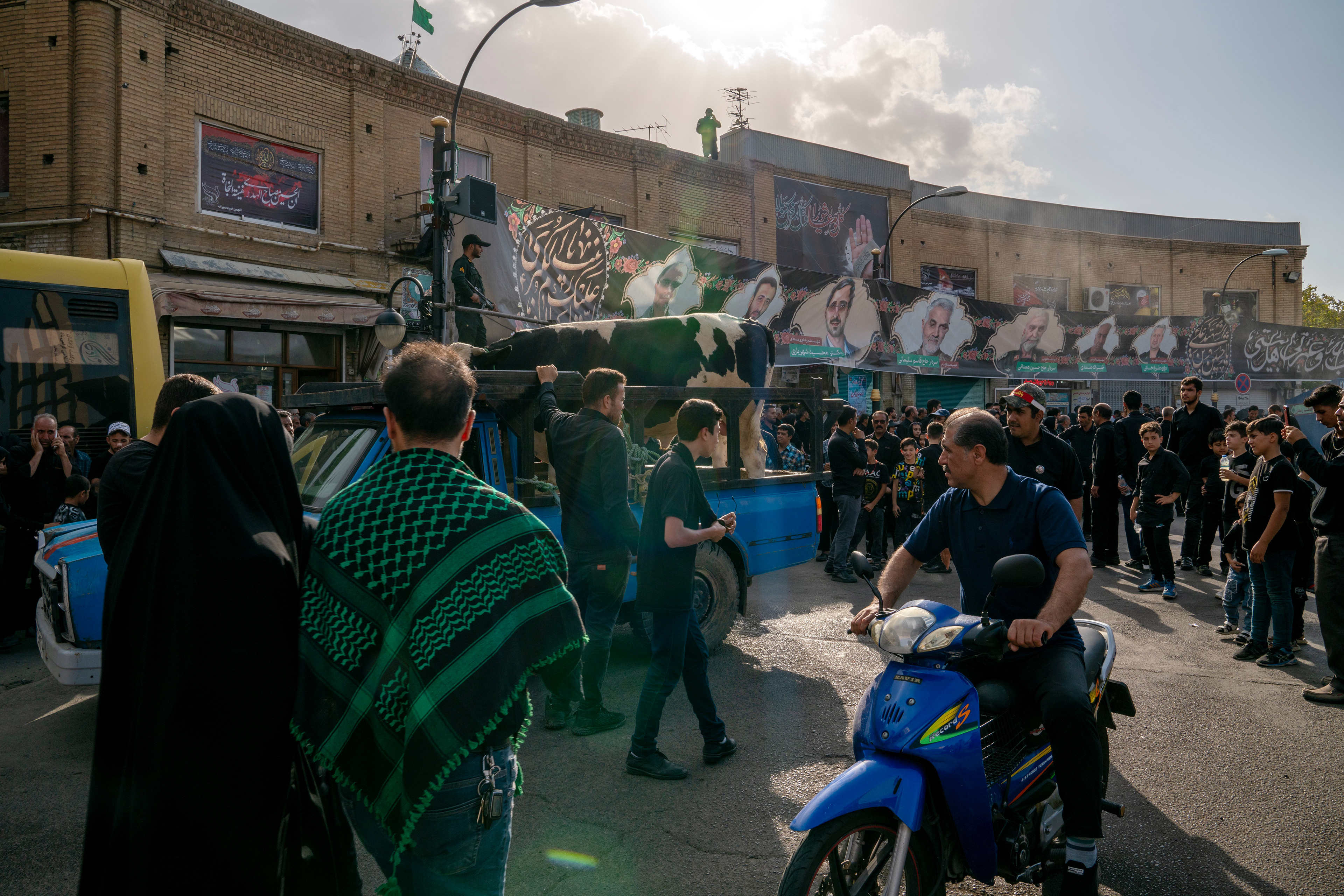 People in Zanjan look at the calf arriving at Enghelab Square in Zanjan, the day after the Day of Ashura, the 1384th anniversary of Imam Hussein's martyrdom. As a tradition, Shiite Muslims will slaughter the calf they bring to the square and cook for the commemoration ceremonies that will take place the next day.