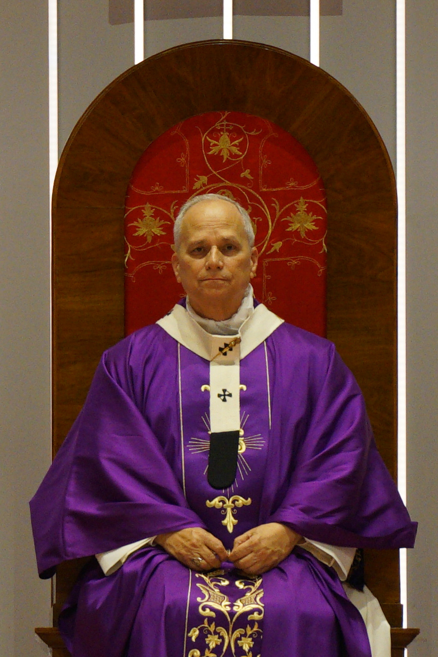 Pope Leo XIV celebrates a Mass at the Volkswagen Arena in Istanbul, during his first apostolic journey, on November 29, 2025.