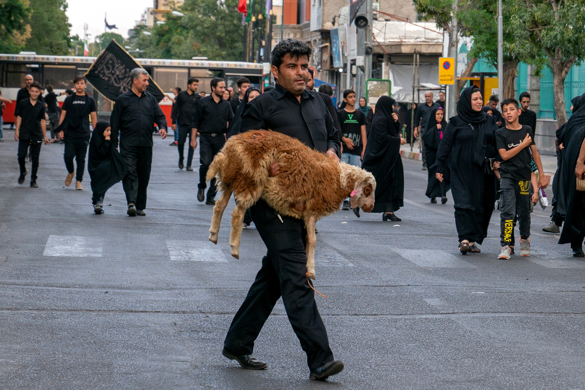 A man in Zanjan leads the a sheep to slaughter the day after the Day of Ashura, the 1384th anniversary of Imam Hussein's martyrdom. As a tradition, Shiite Muslims will slaughter the sheep, goats and calves they bring to the squares and cook for the commemoration ceremonies that will take place the next day.