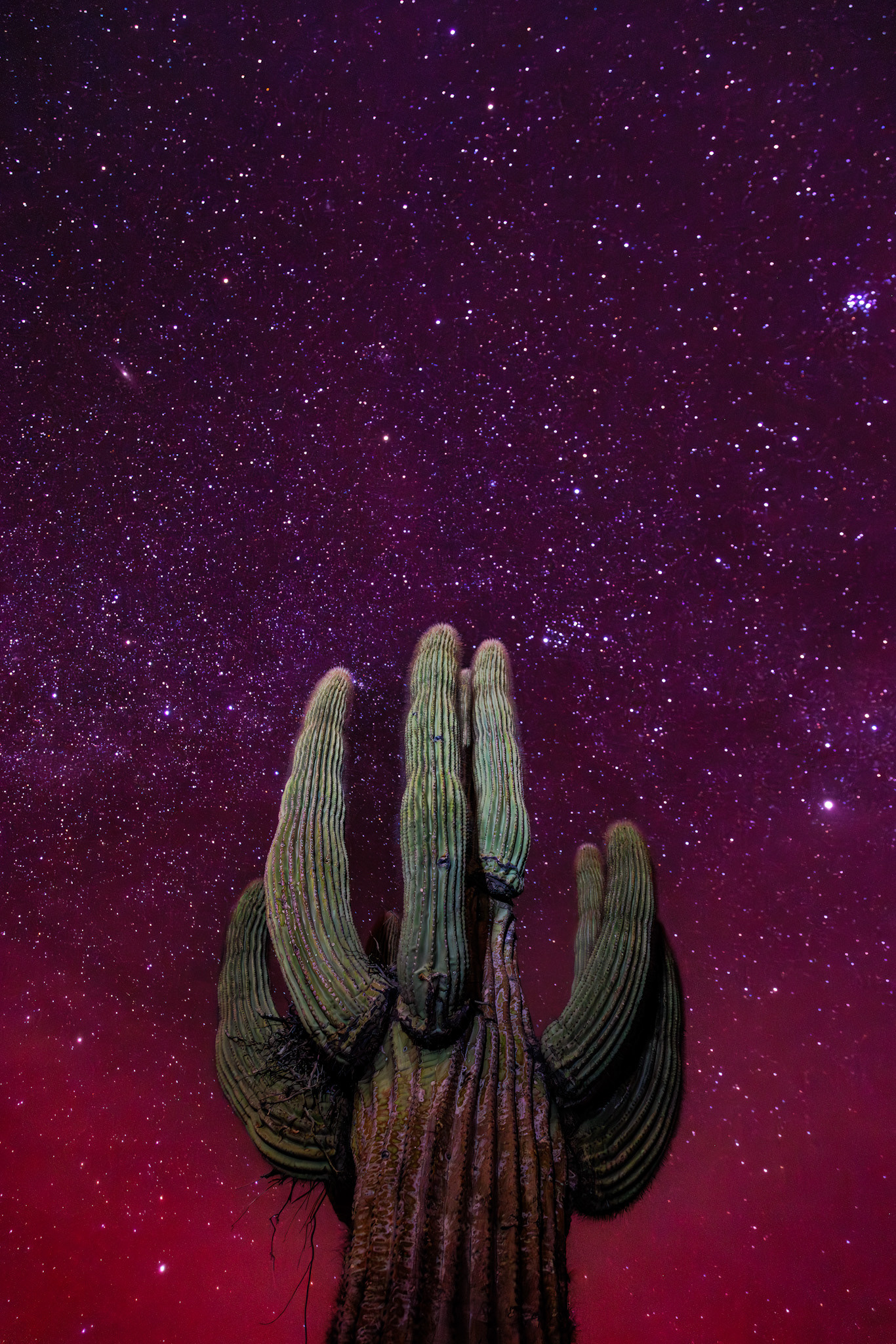 Sonoran Desert, Arizona — Aurora Borealis