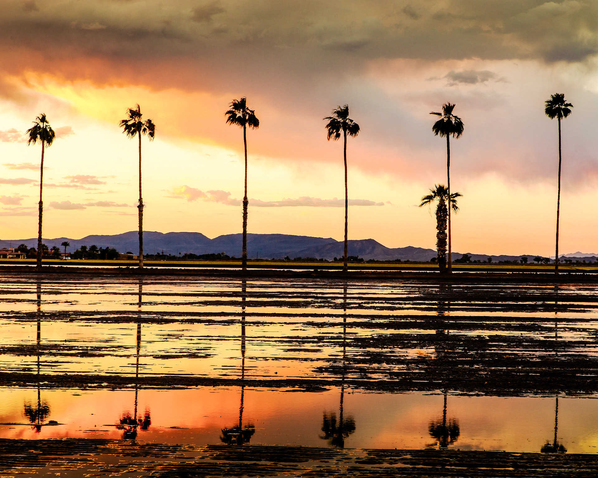 Yuma Valley, Yuma, Arizona