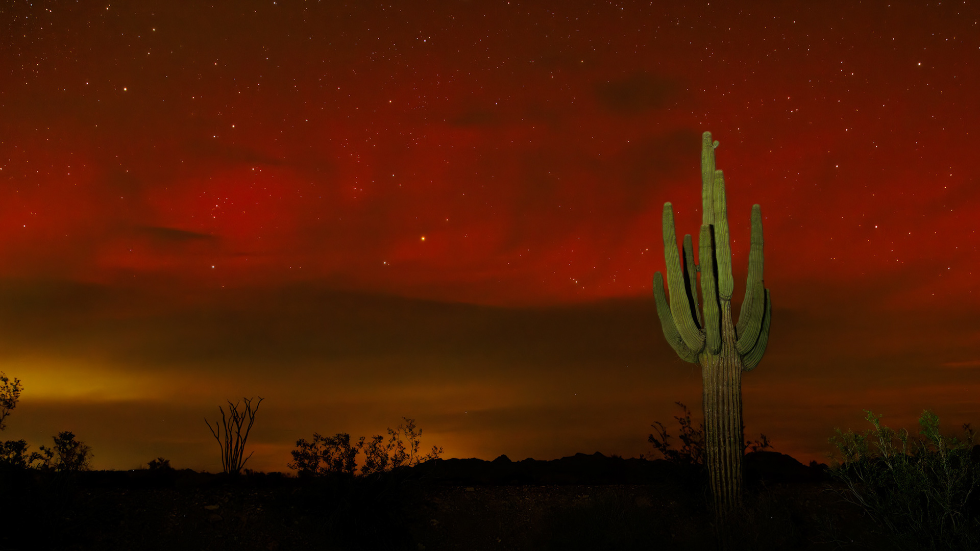 Sonoran Desert, Arizona — Aurora Borealis