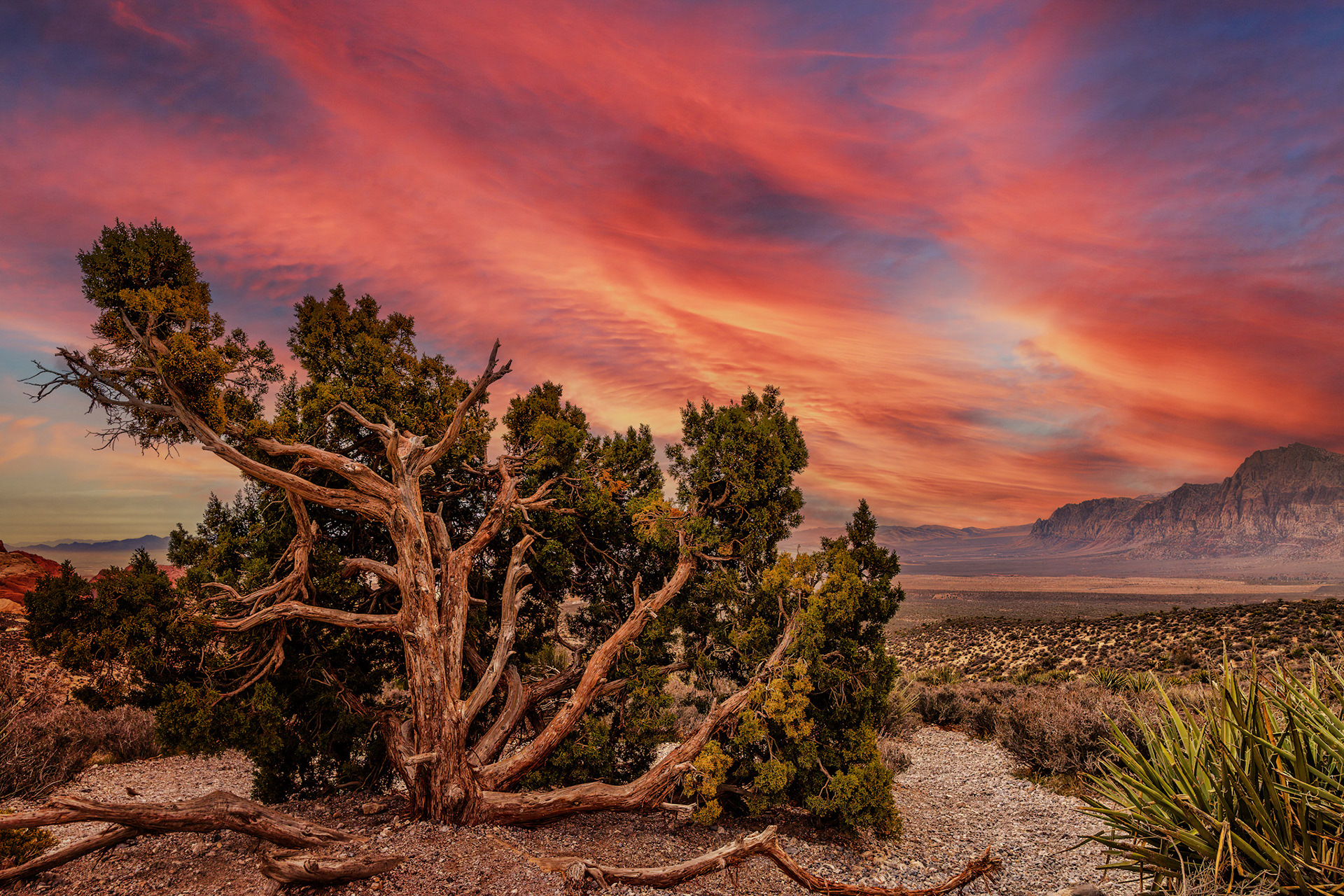 Red Rock Canyon, Nevada