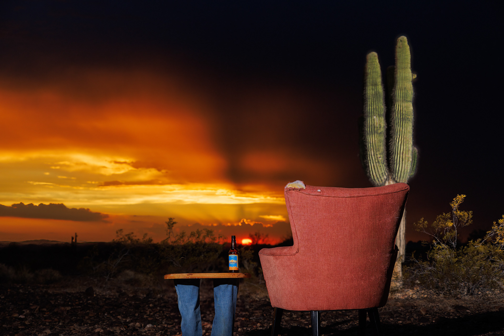 Sonoran Desert, Yuma, Arizona