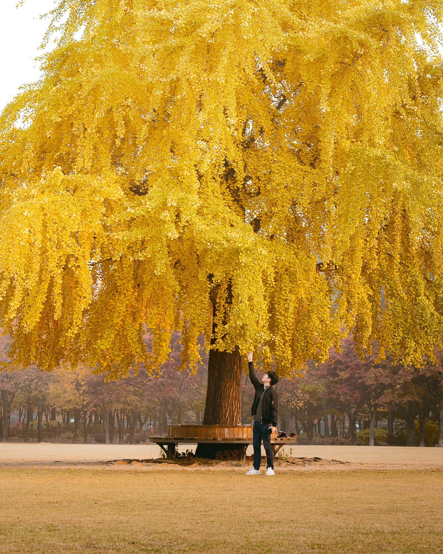 개인촬영(서울숲)