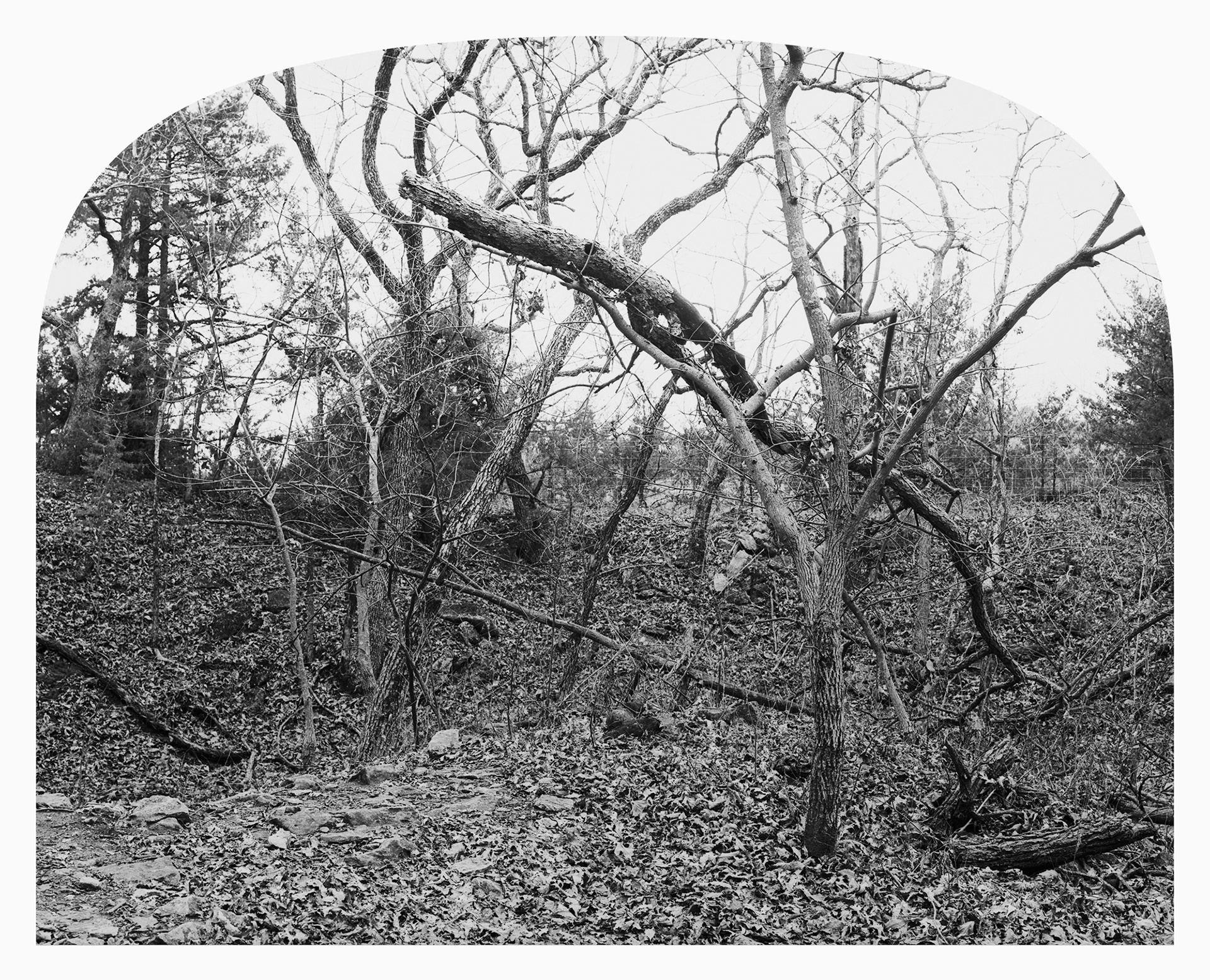 Difficult Nature #2, Spillway Cycle Area, Kansas