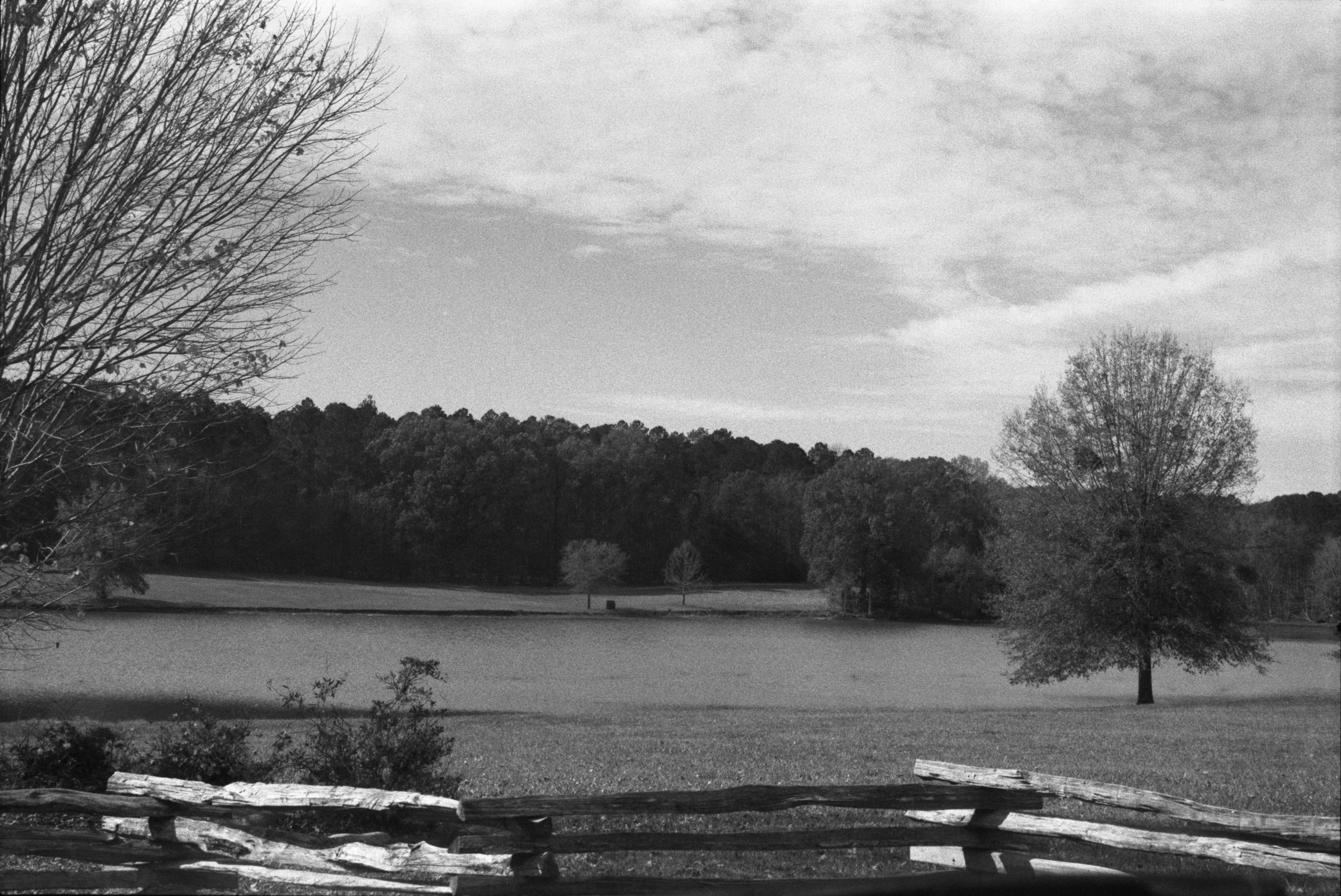 Star Fort Pond