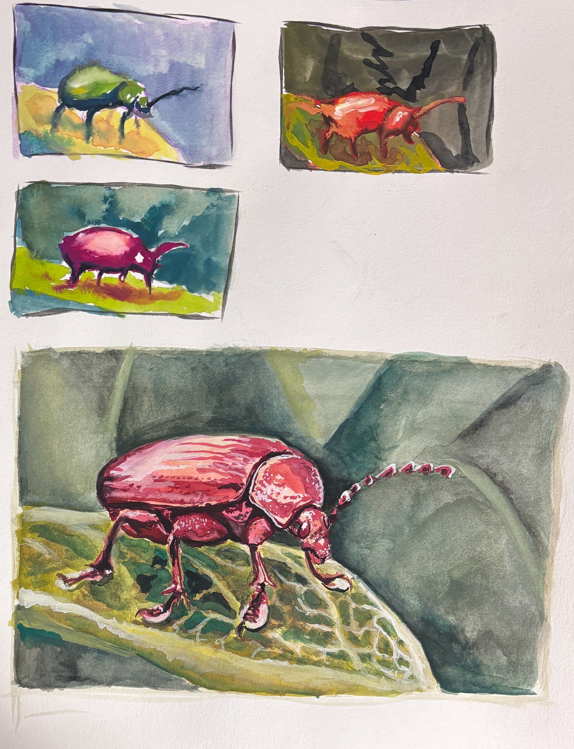 Gouache Bug timed study