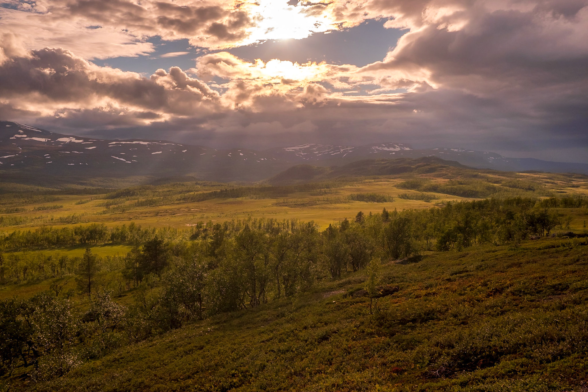 Rustadfjellet 19.8