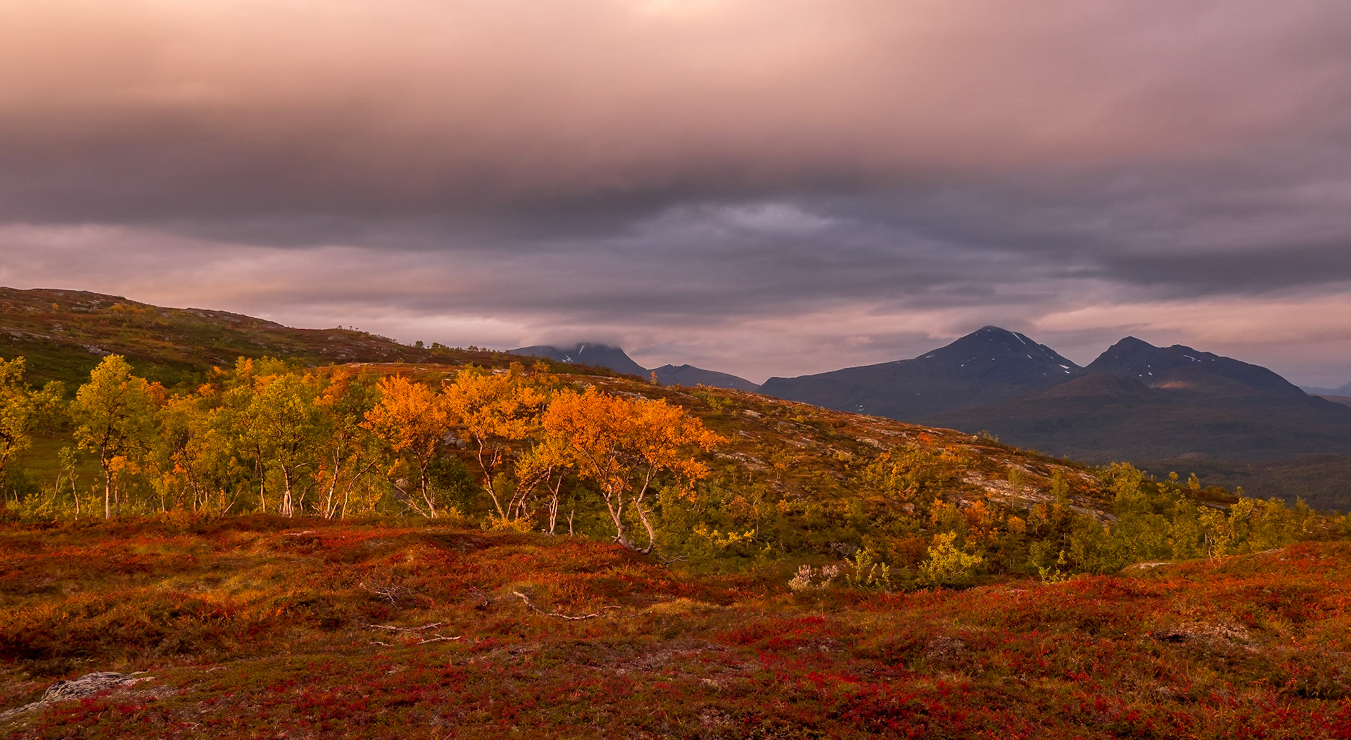 Andsfjellet 9.9