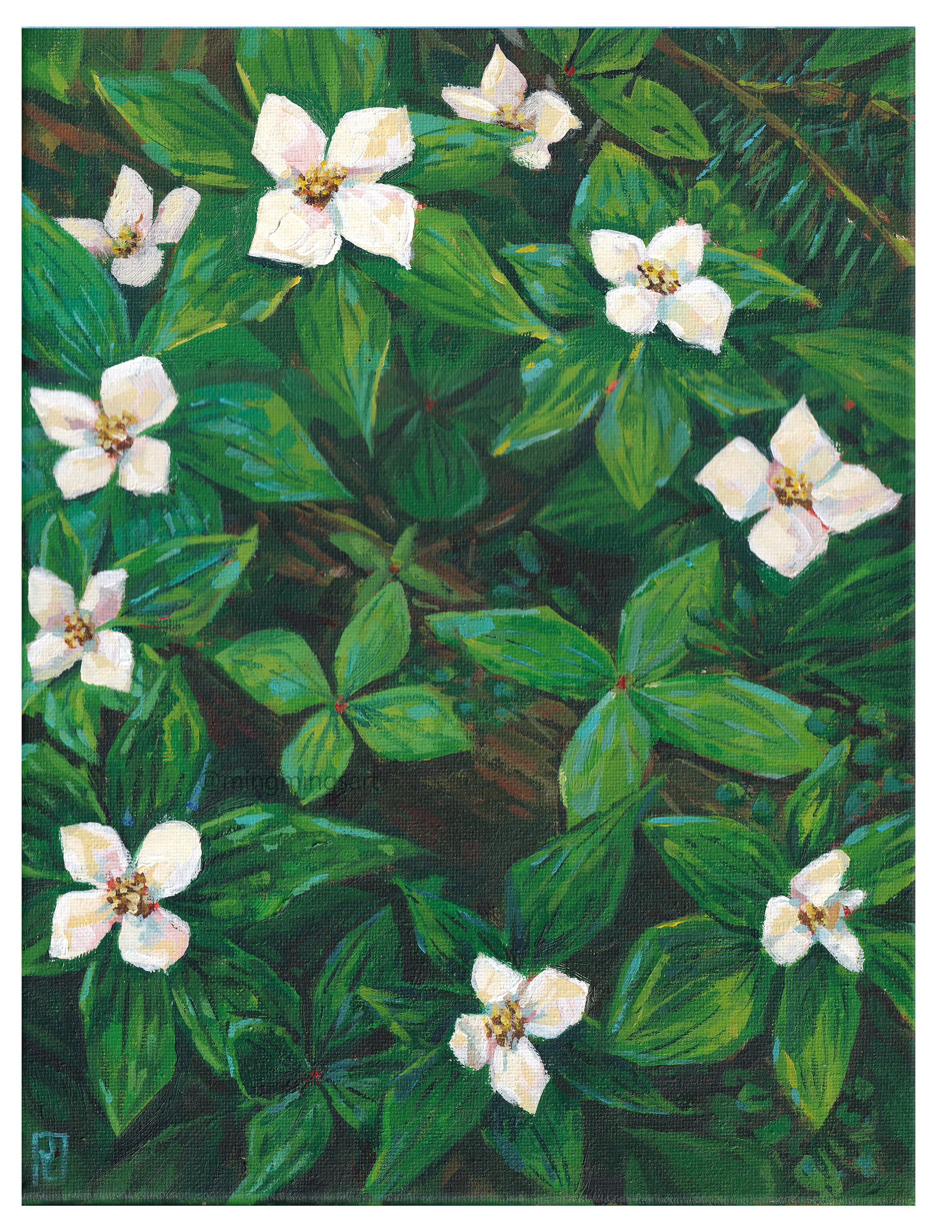 Acrylic, 9x12 canvas, Creeping Dogwood