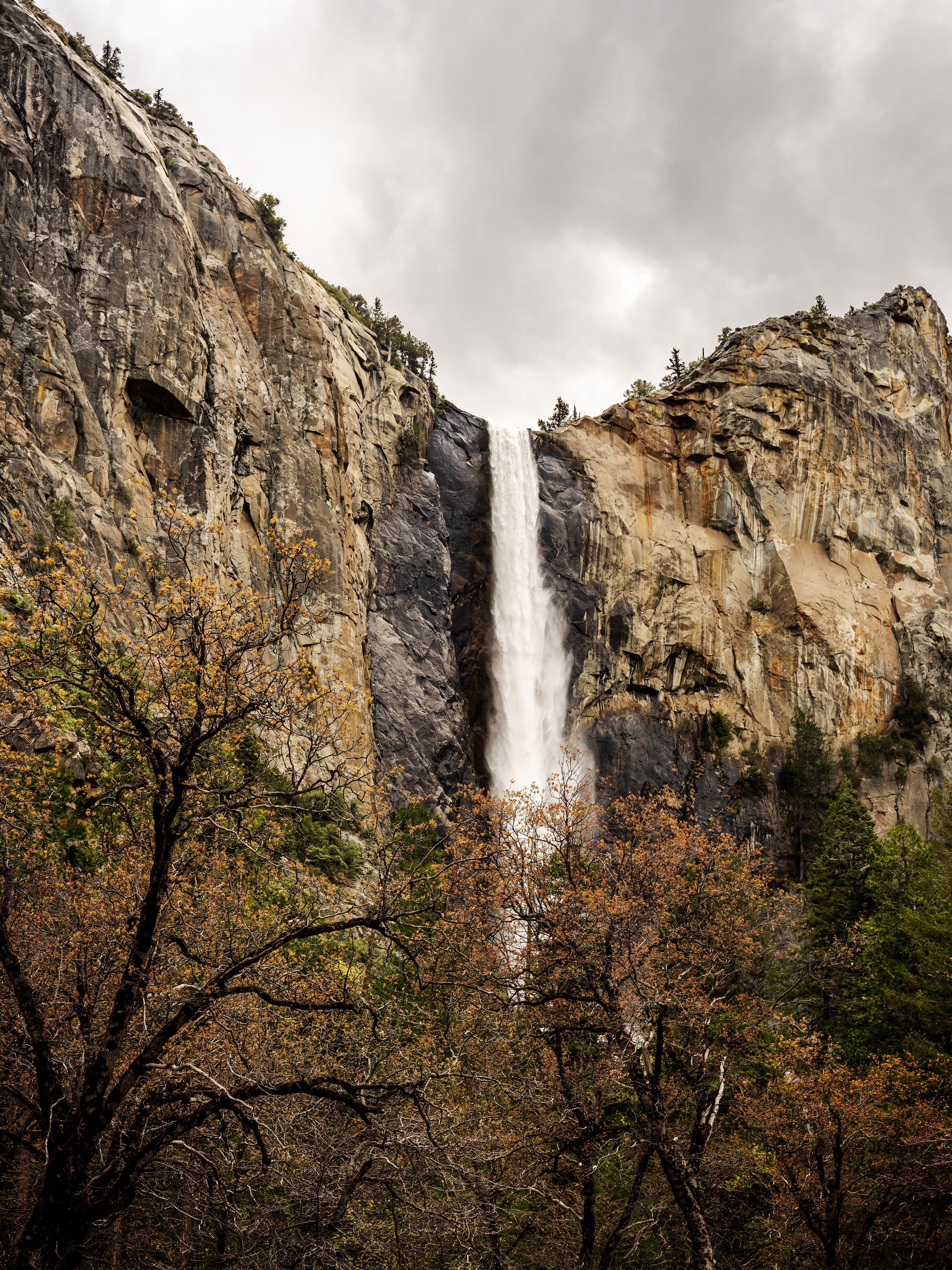 Parco nazionale di Yosemite