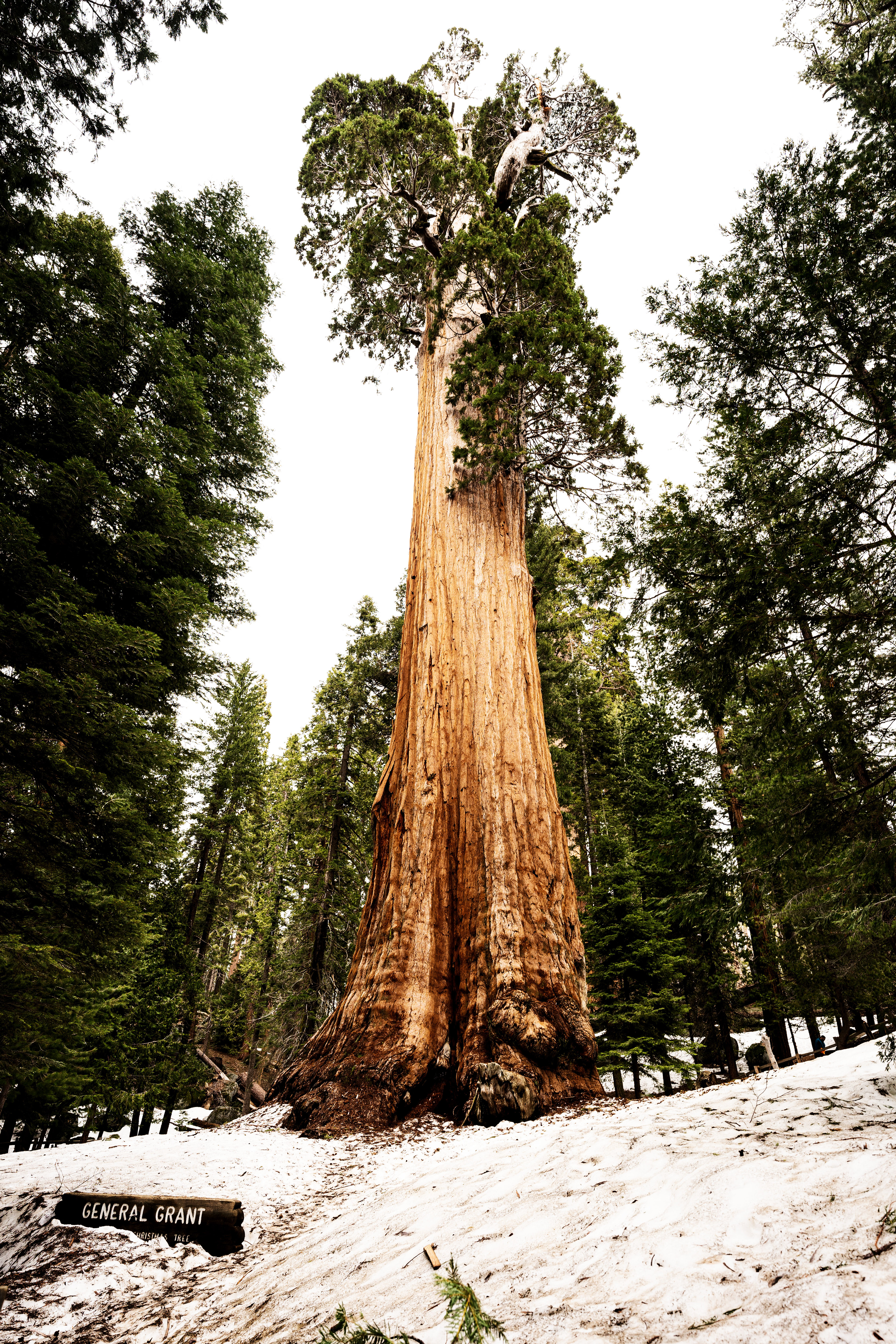 Parco nazionale di Kings Canyon