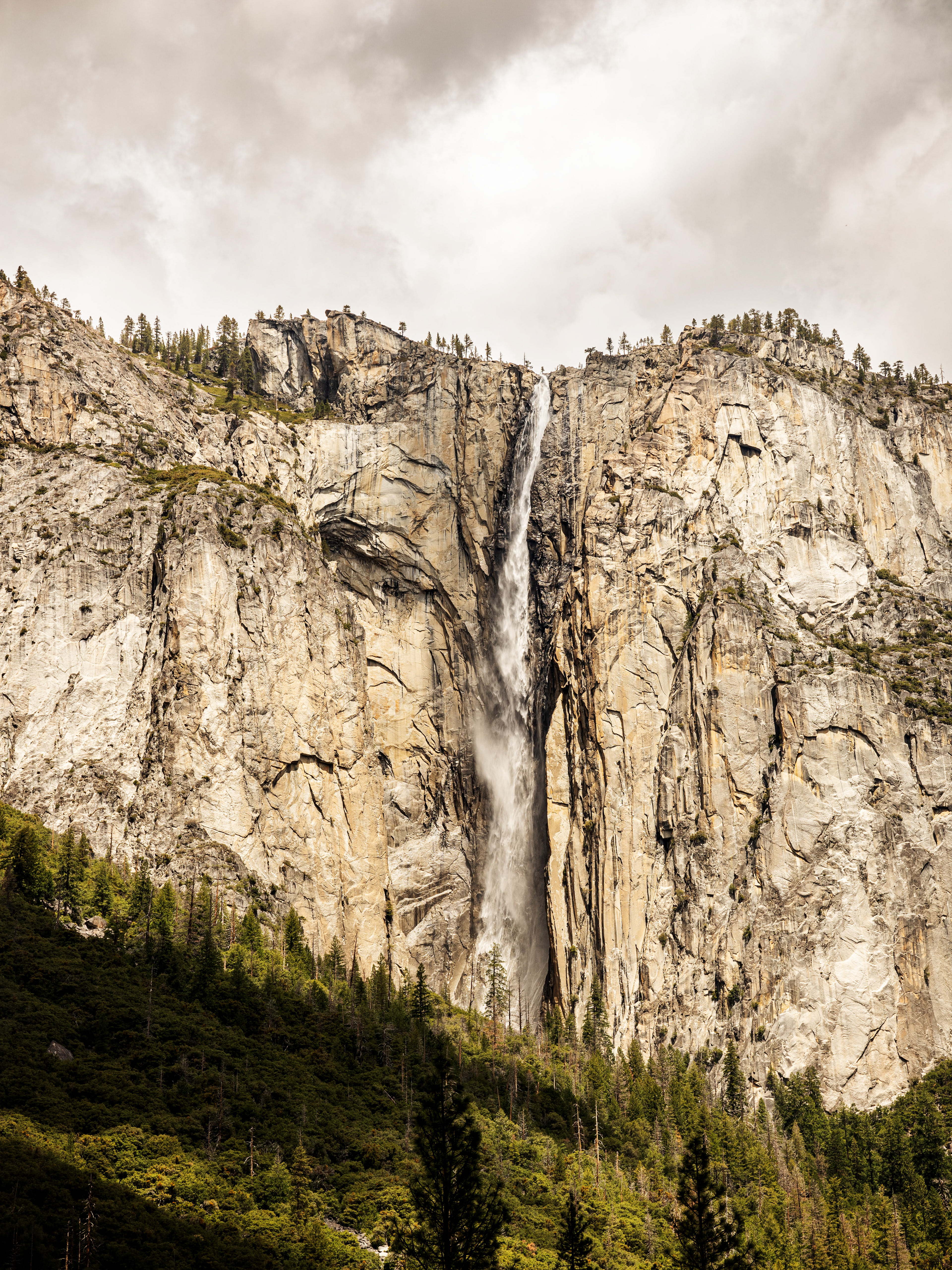 Parco nazionale di Yosemite